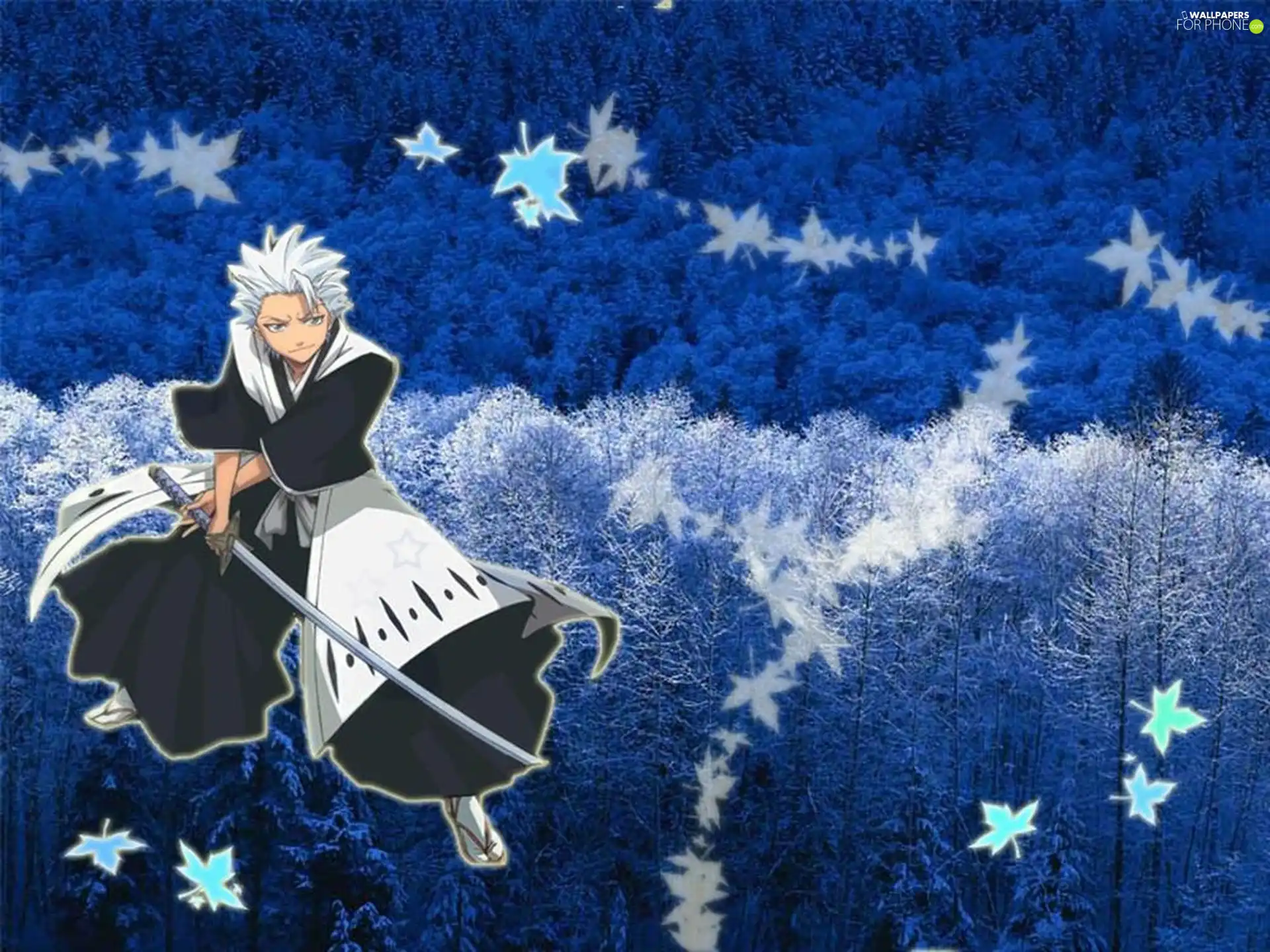 Hitsugaya Toshoro