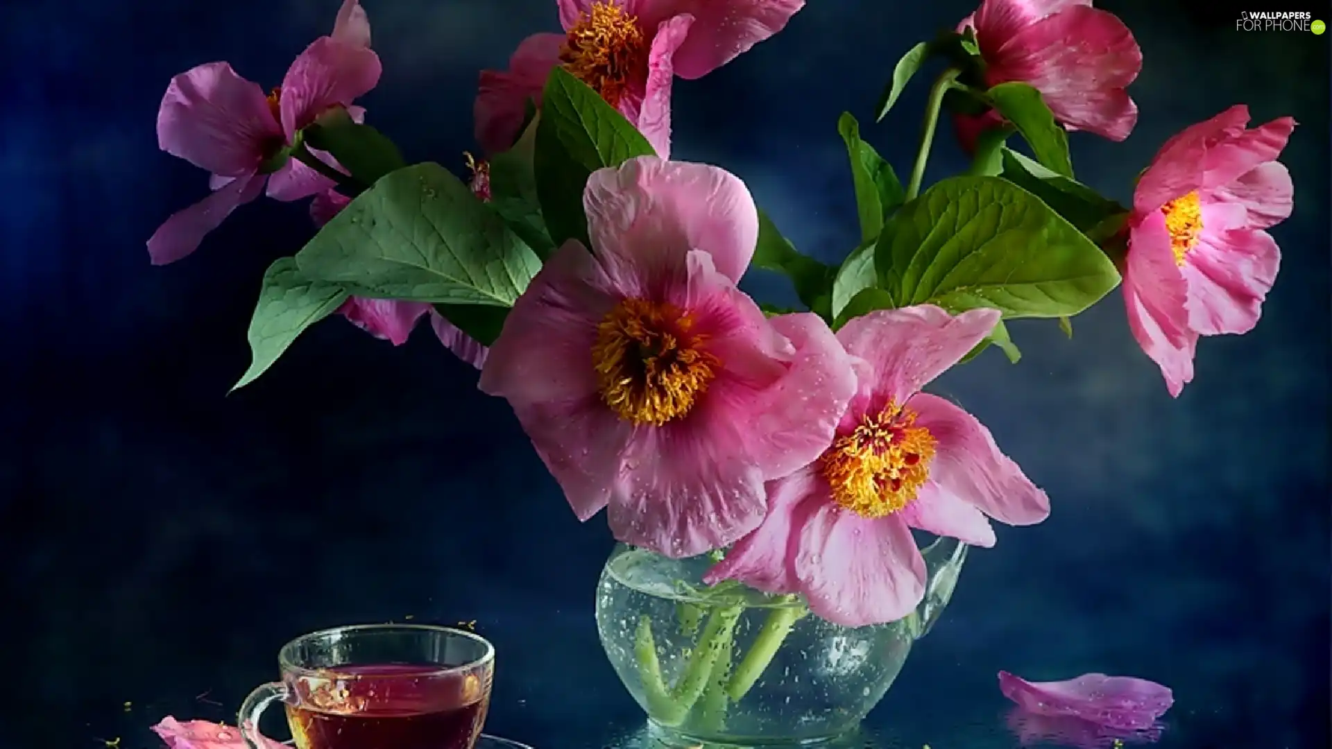 pitcher, Pink, Hollyhocks, cup