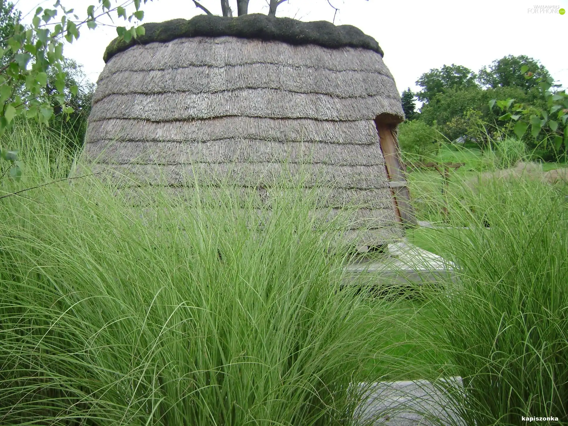 Pacanów, straw, Home, green