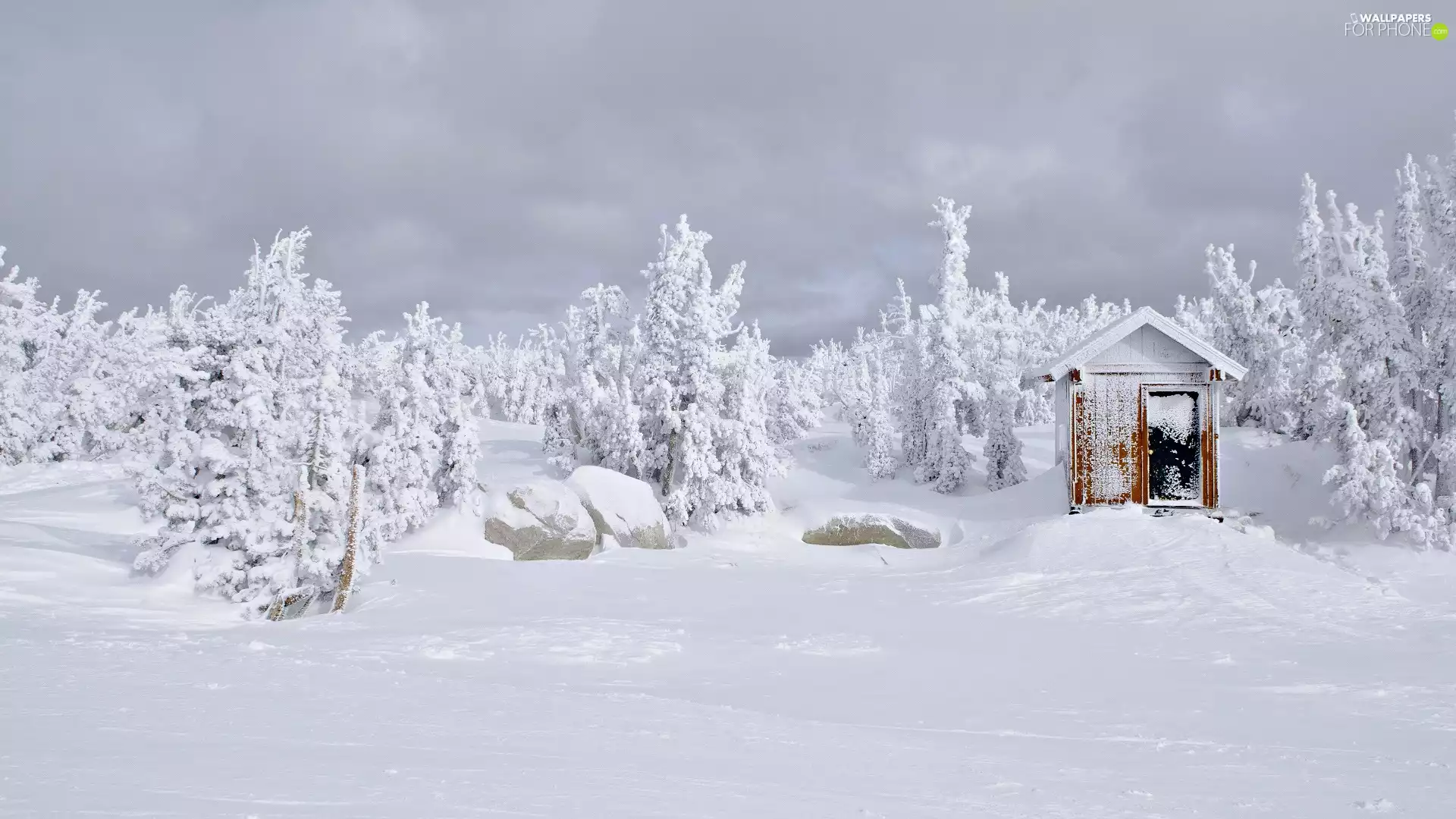 trees, winter, Stones, Home, viewes, Snowy