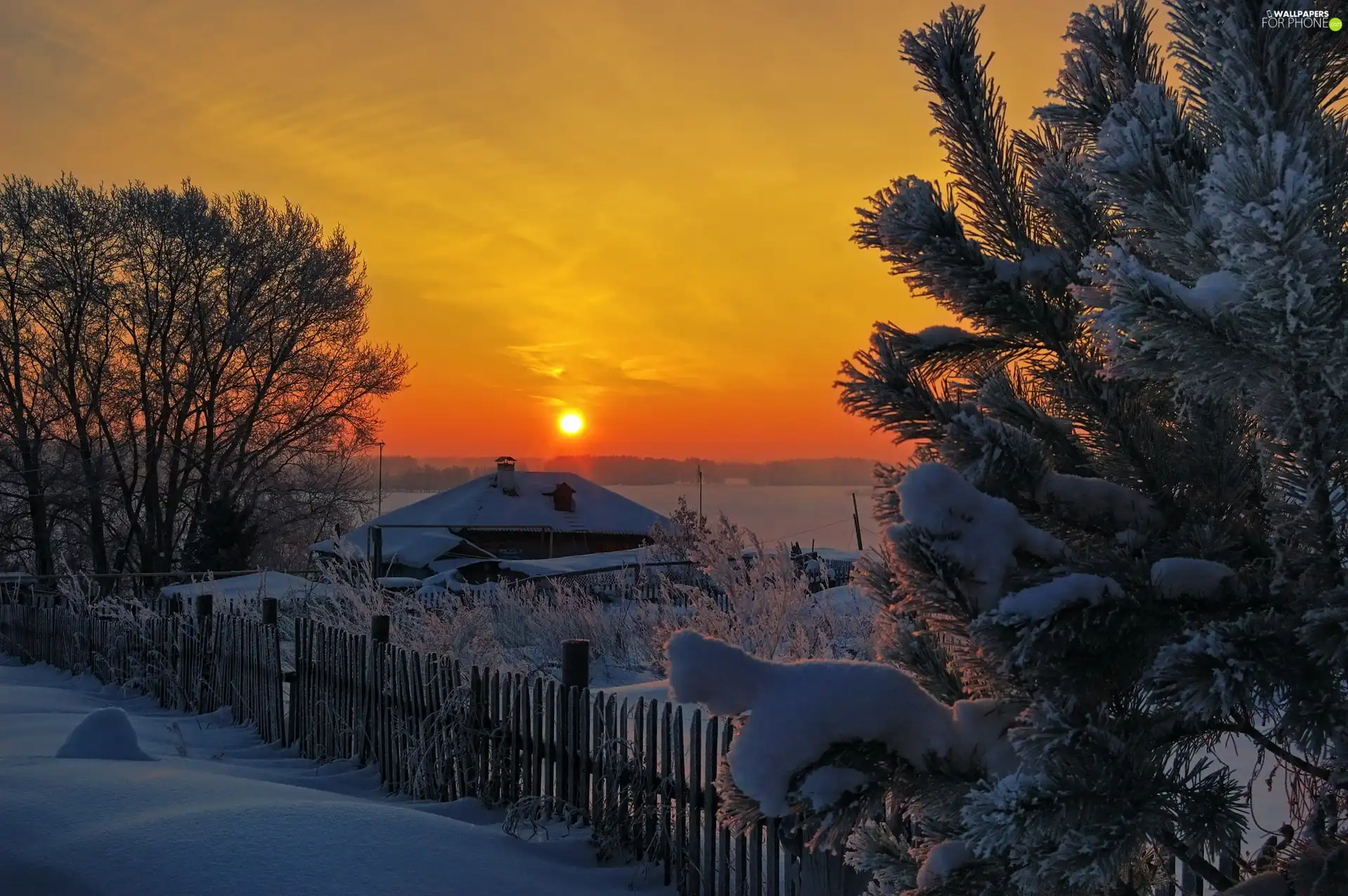 trees, west, Home, winter, viewes, sun