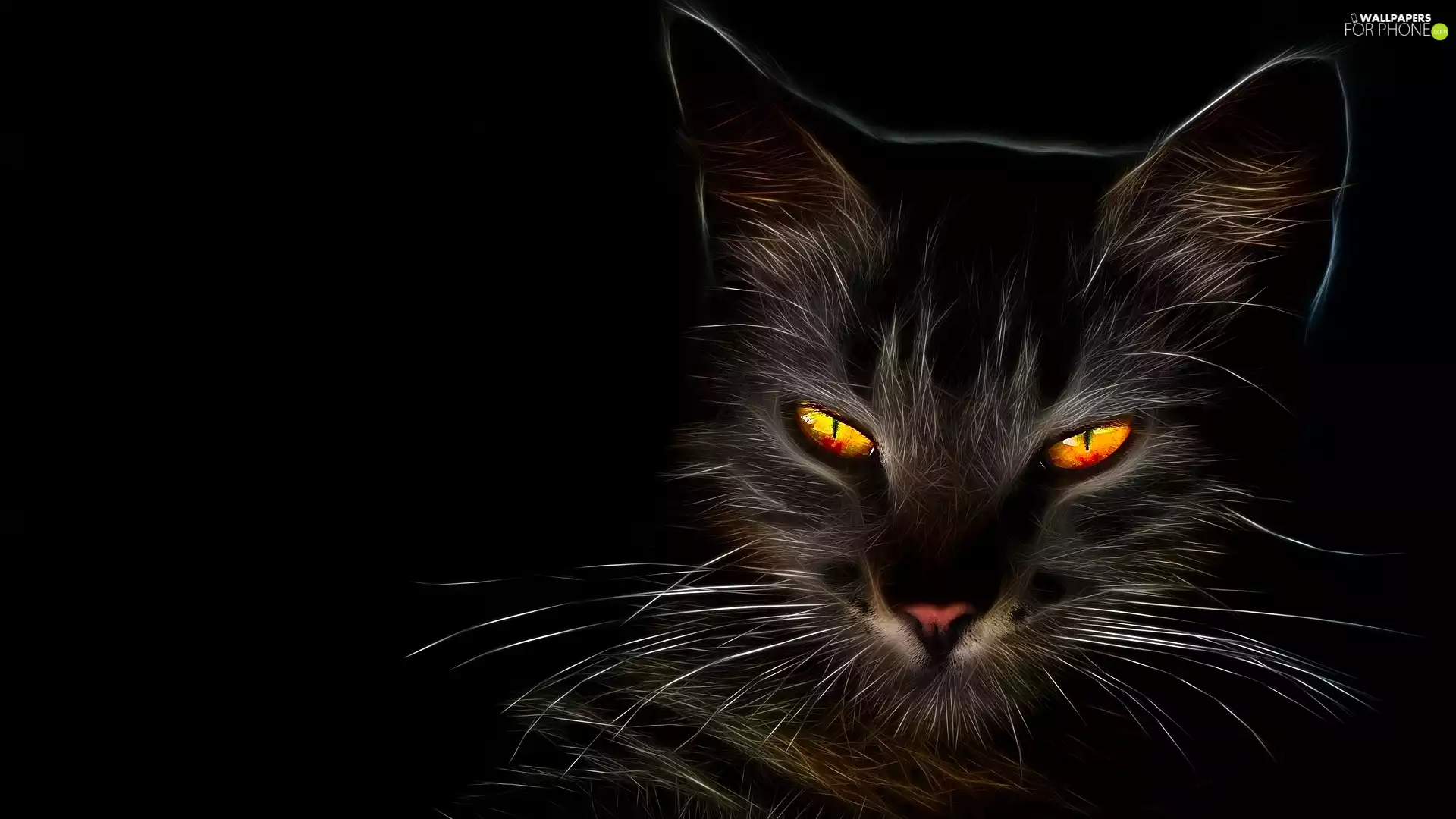 Eyes, muzzle, background, honey, cat, Black, Fractalius