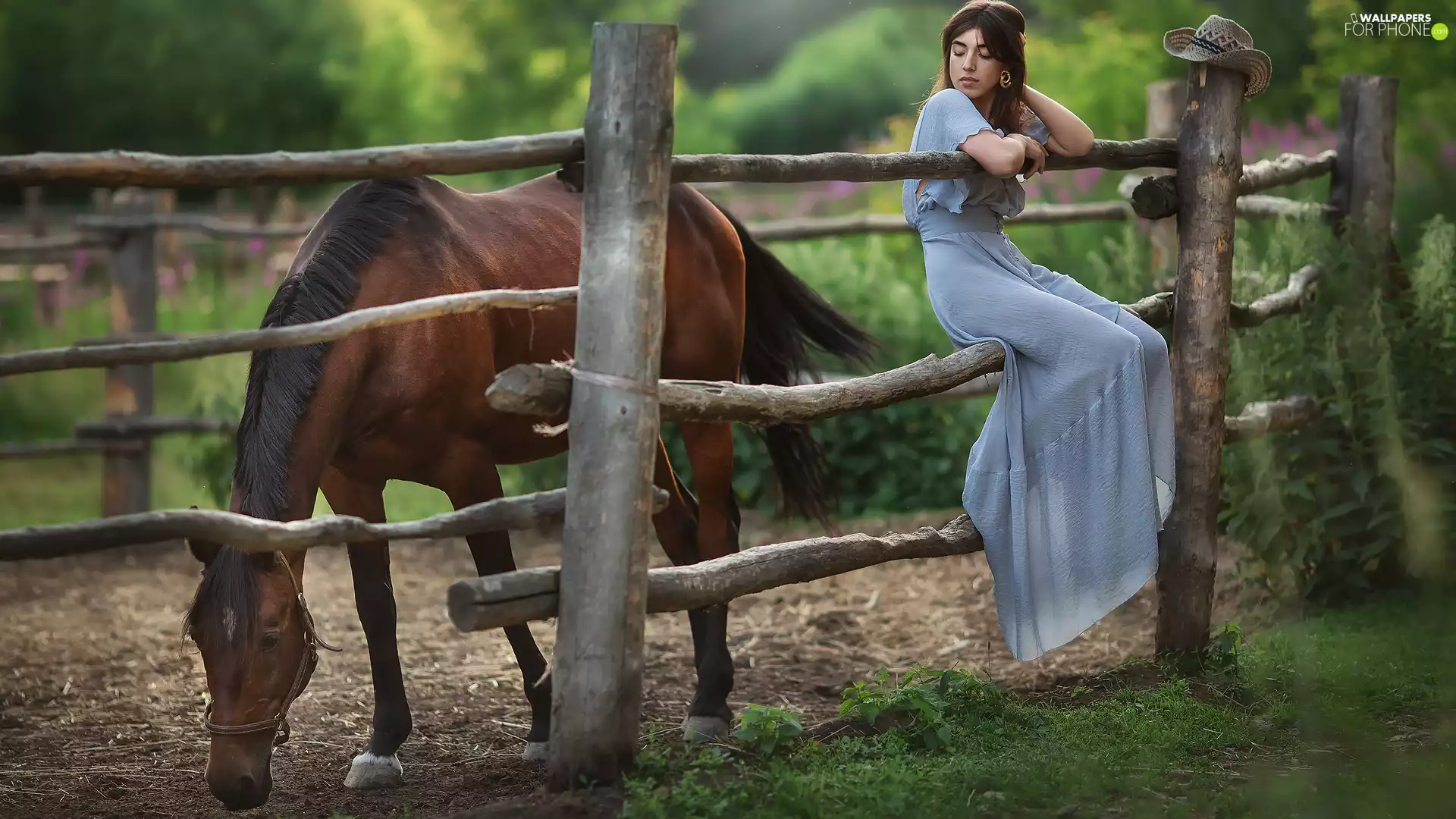 Blue, Women, Fance, Horse, dress, light brown