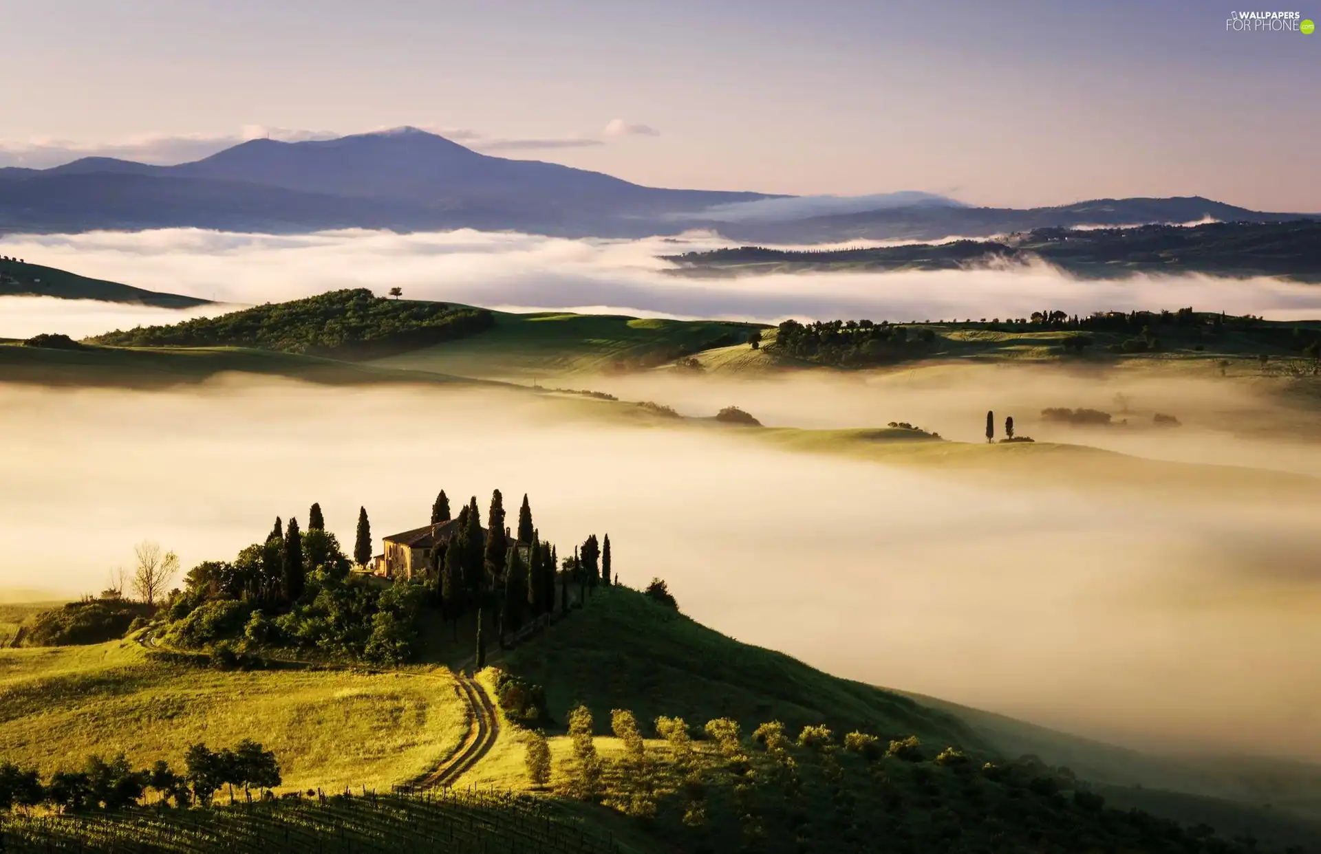 house, Mountains, Fog