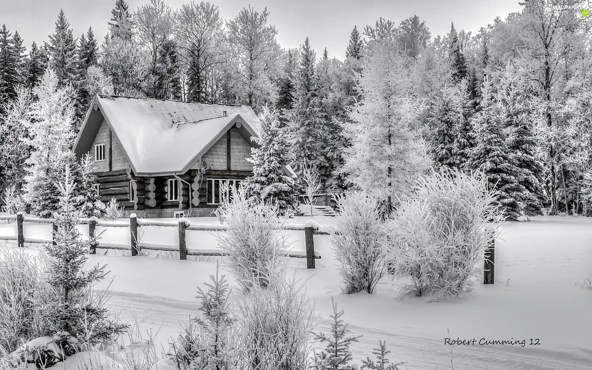 house, winter, forest