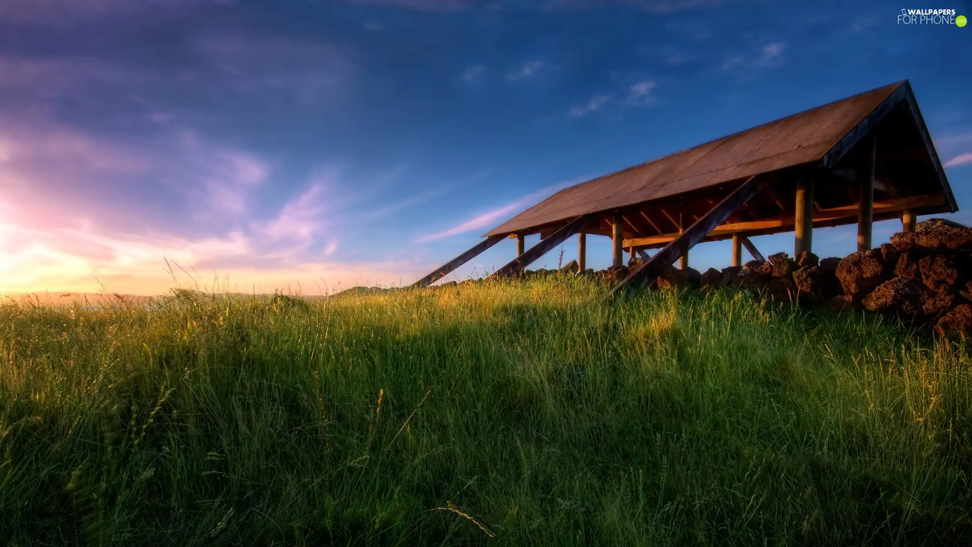 Meadow, Sky, House, grass