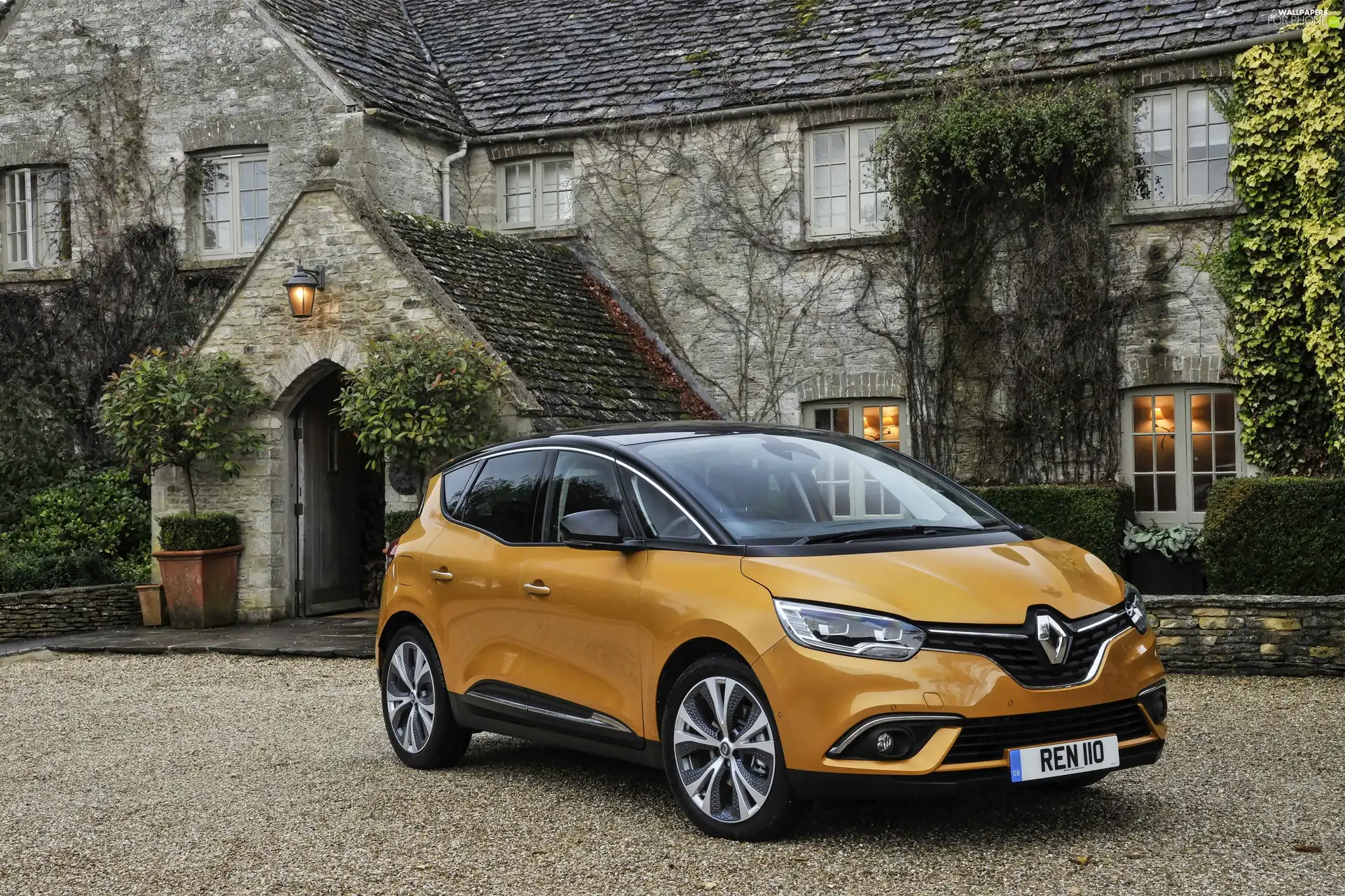 Yellow, 2016, house, Renault Scenic