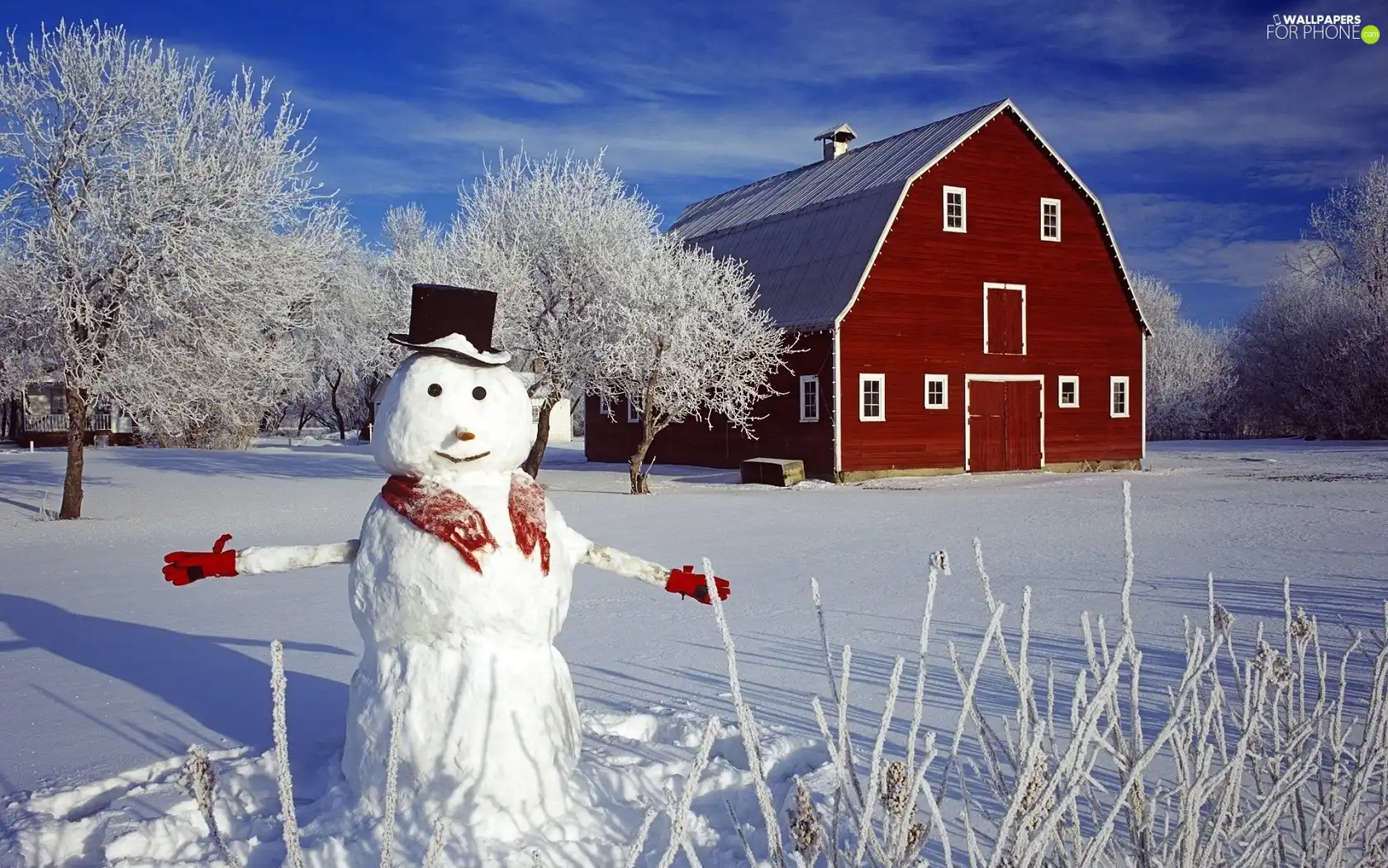 house, winter, Snowman