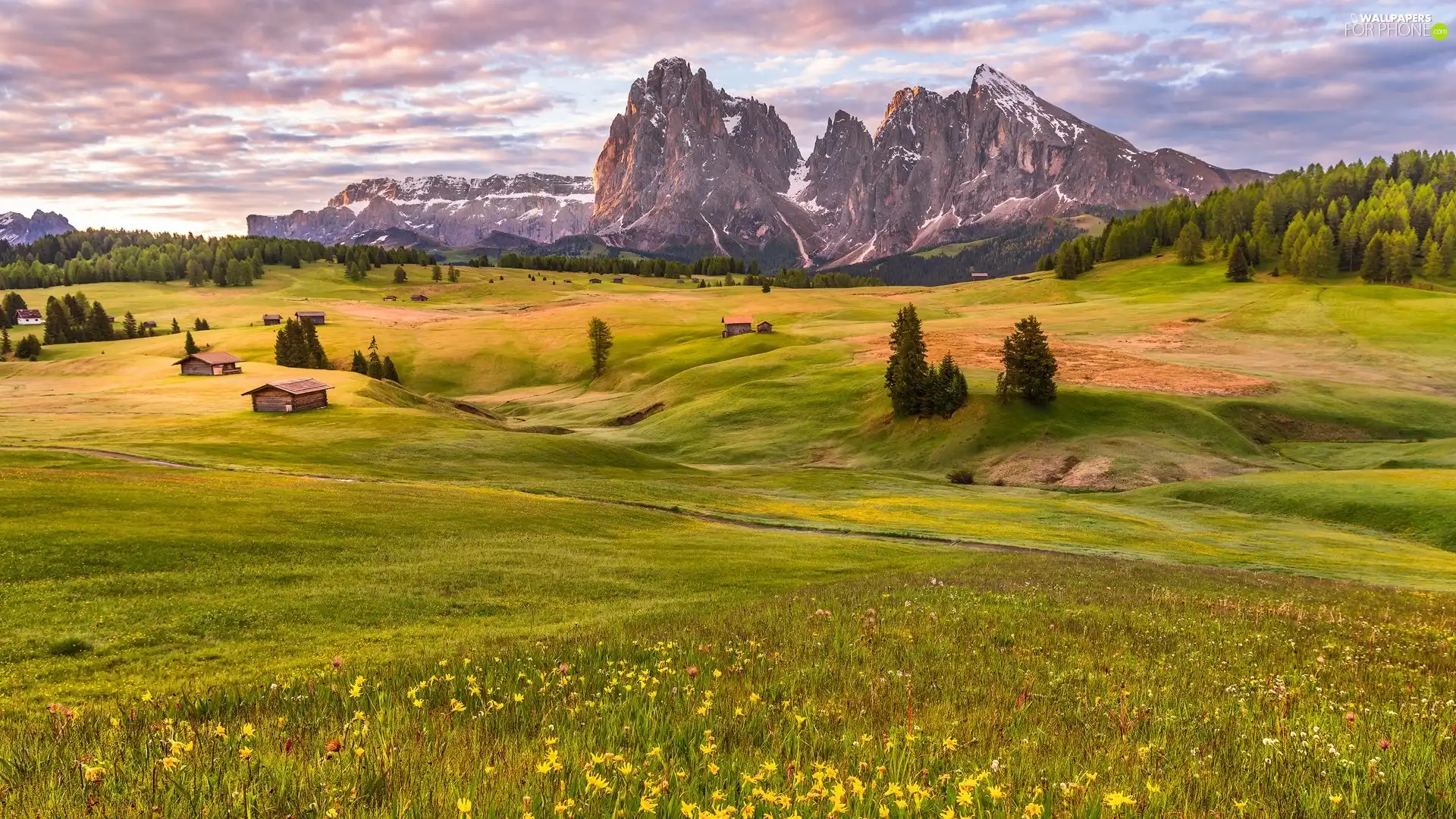 trees, Sassolungo Mountains, Seiser Alm Meadow, clouds, Houses, Val Gardena Valley, Dolomites, Italy, viewes, medows