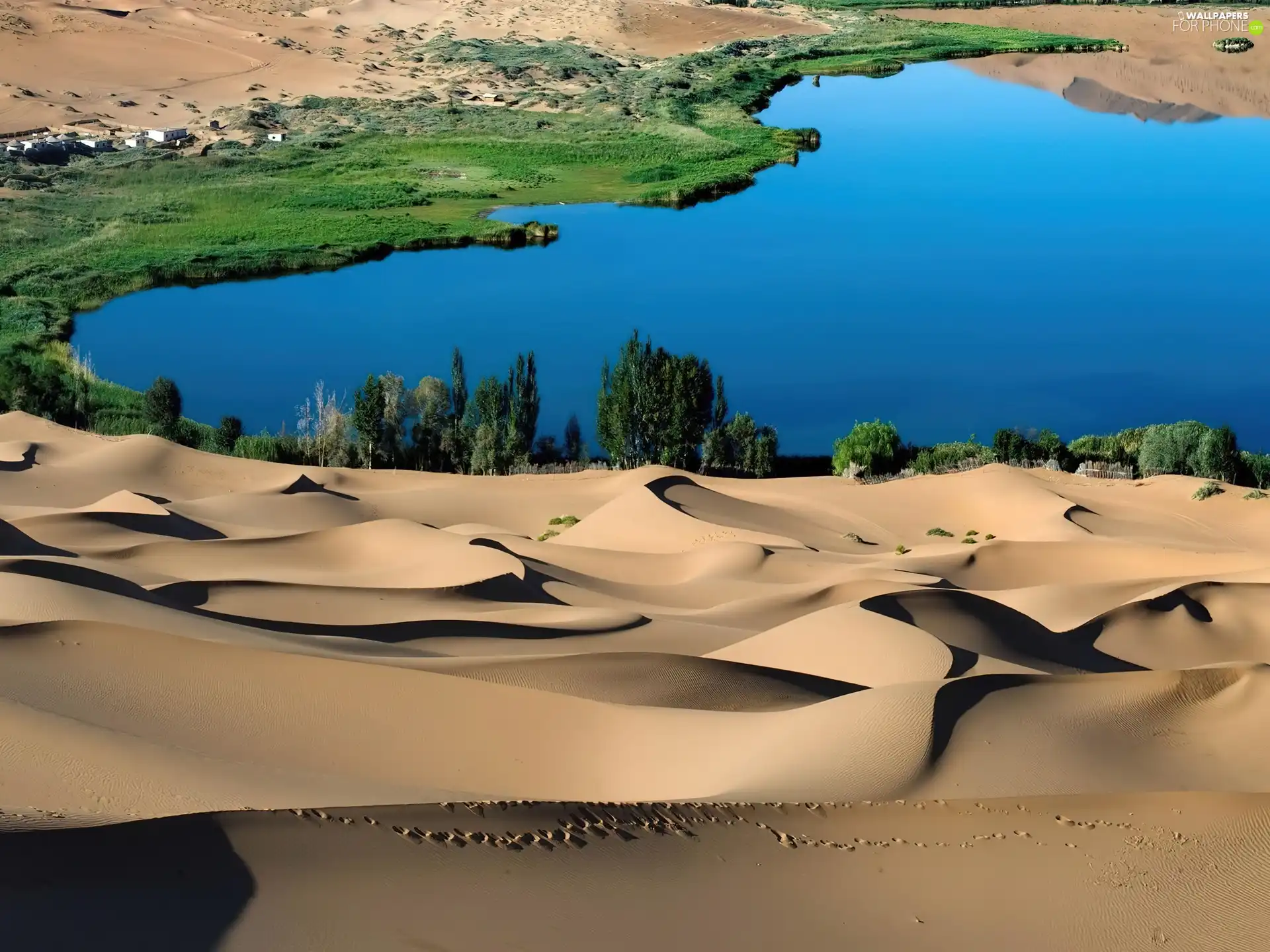 Houses, Gulf, Dunes