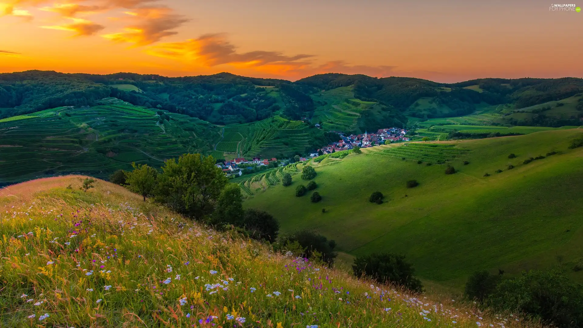 trees, car in the meadow, Valley, Sky, Houses, The Hills, Flowers, Great Sunsets, viewes, medows
