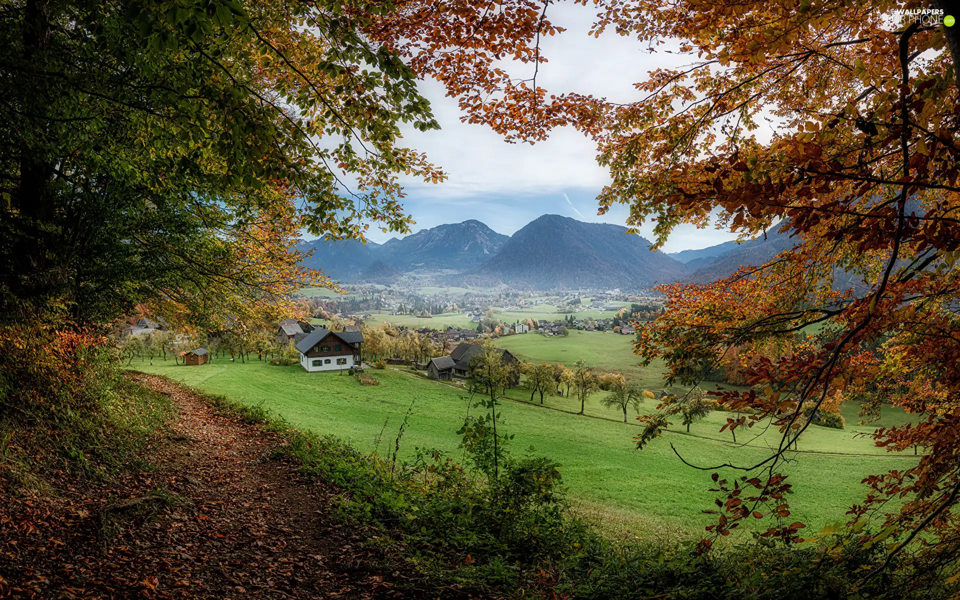 viewes, Mountains, Town, Houses, branch pics, trees