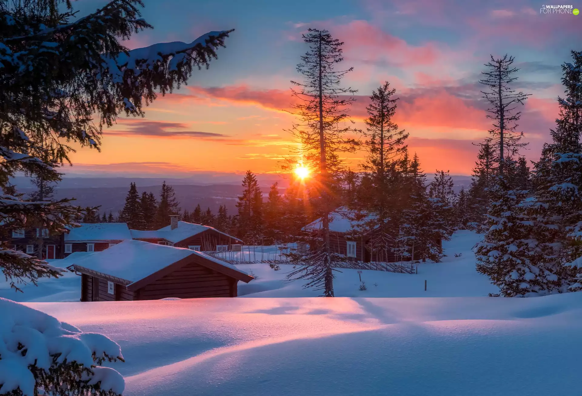viewes, Great Sunsets, Houses, trees, winter