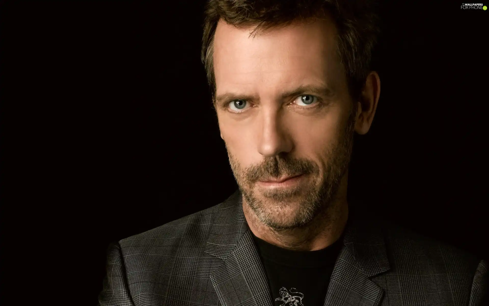 portrait, actor, Hugh Laurie