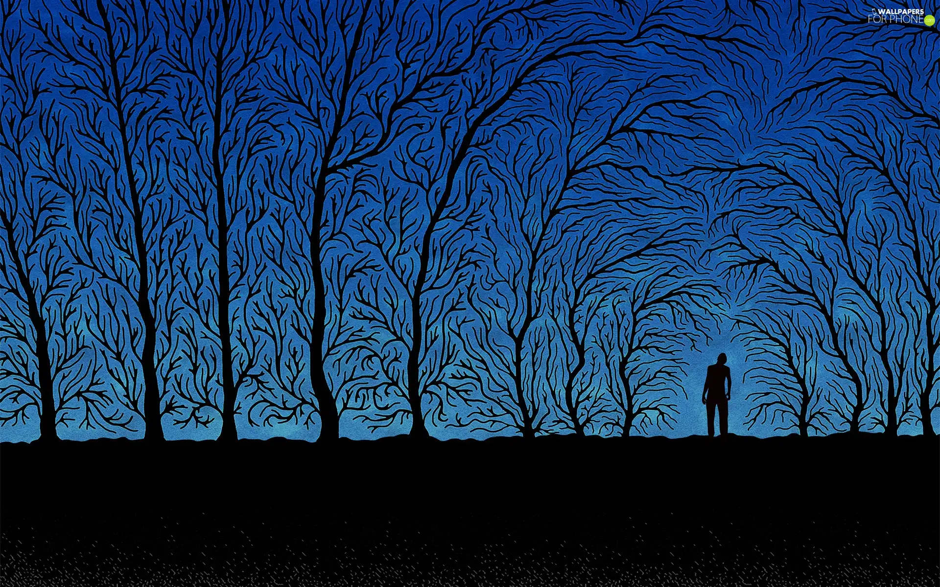 Human, graphics, trees, viewes, Night