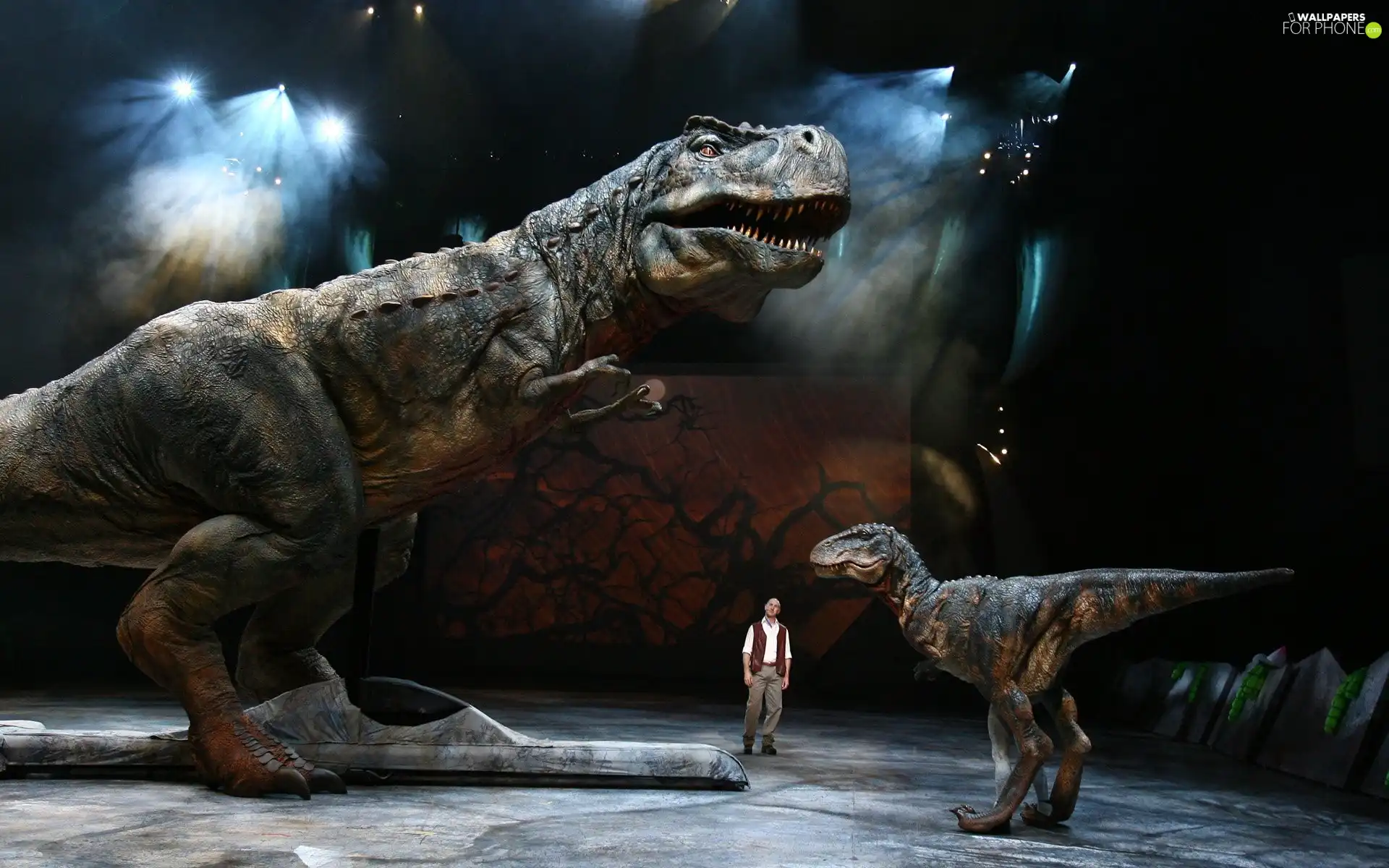 Huge, small, Human, dinosaurs