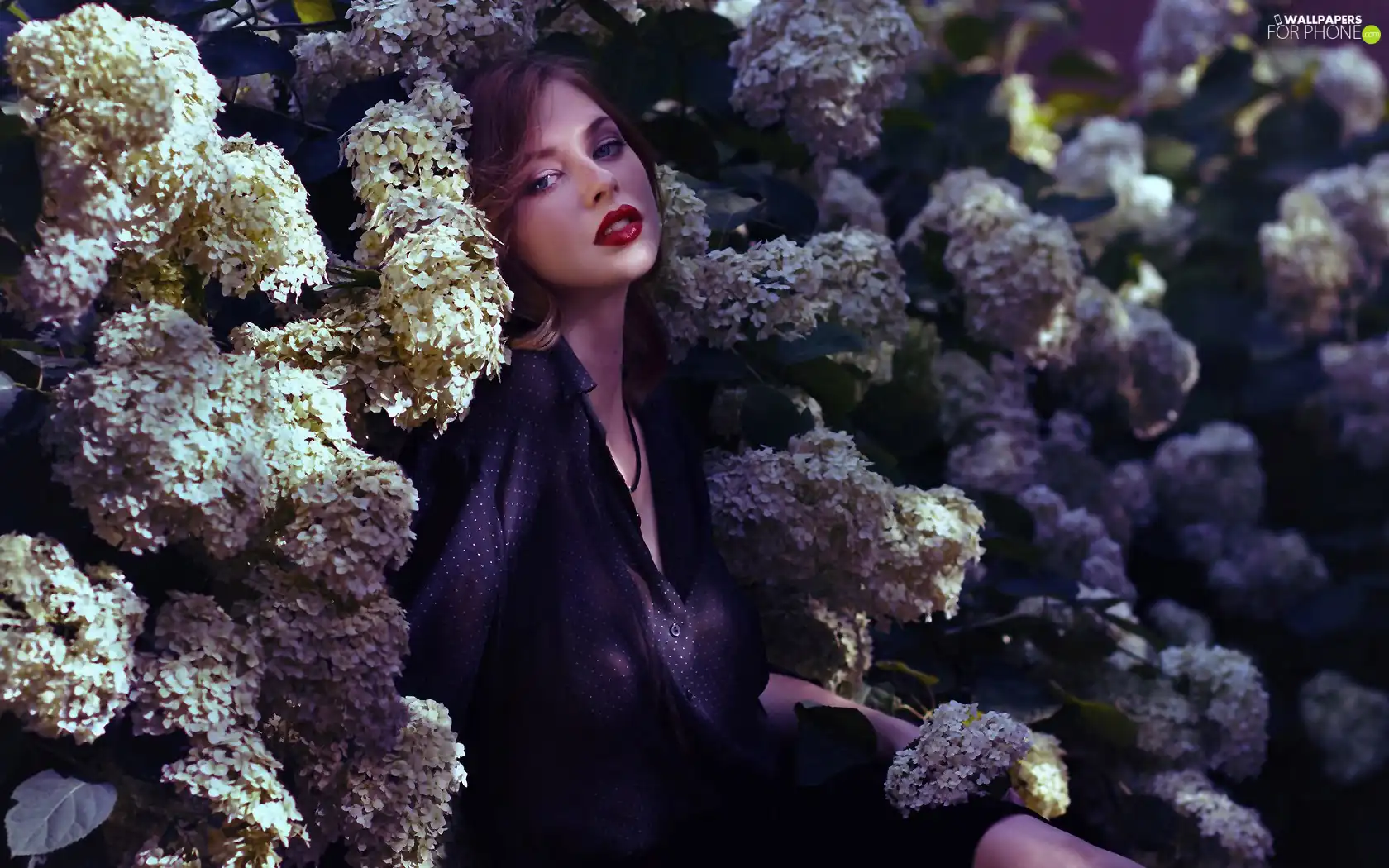 girl, make-up, hydrangeas, model