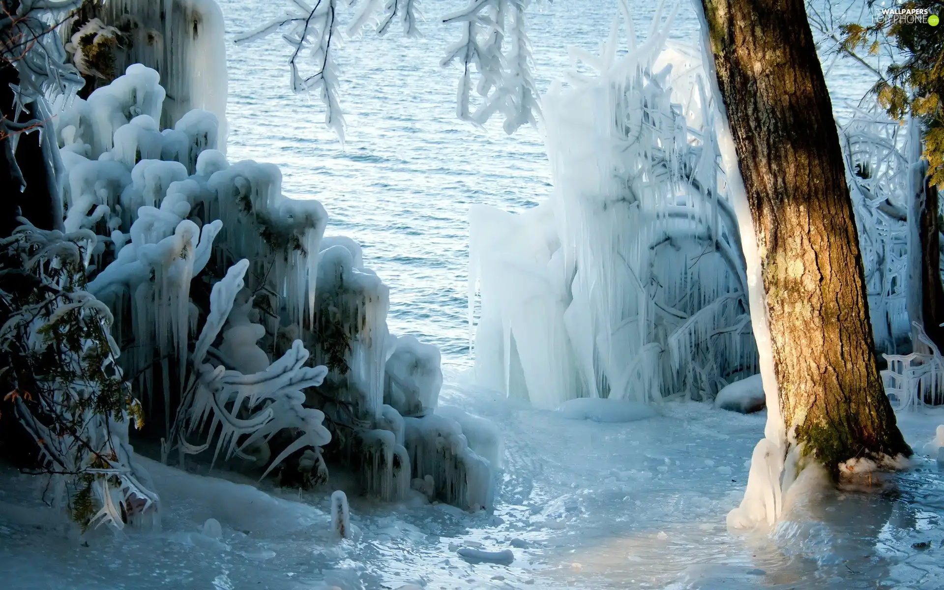Icecream, winter, frozen, Bush, lakes