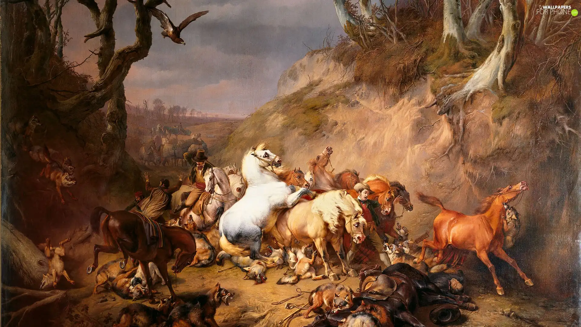 bloodstock, copy, Image, wolves