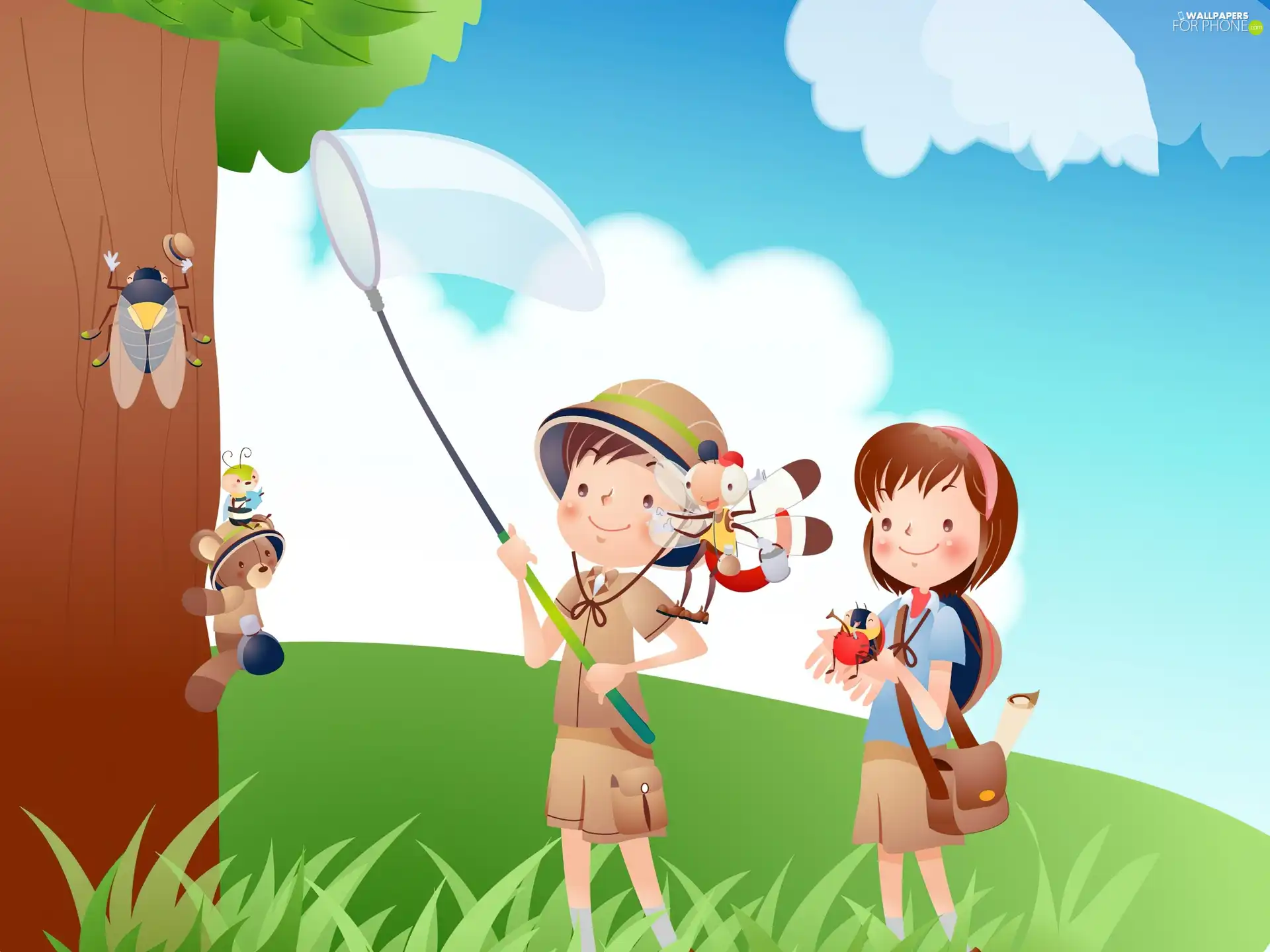 insects, Kids, Meadow