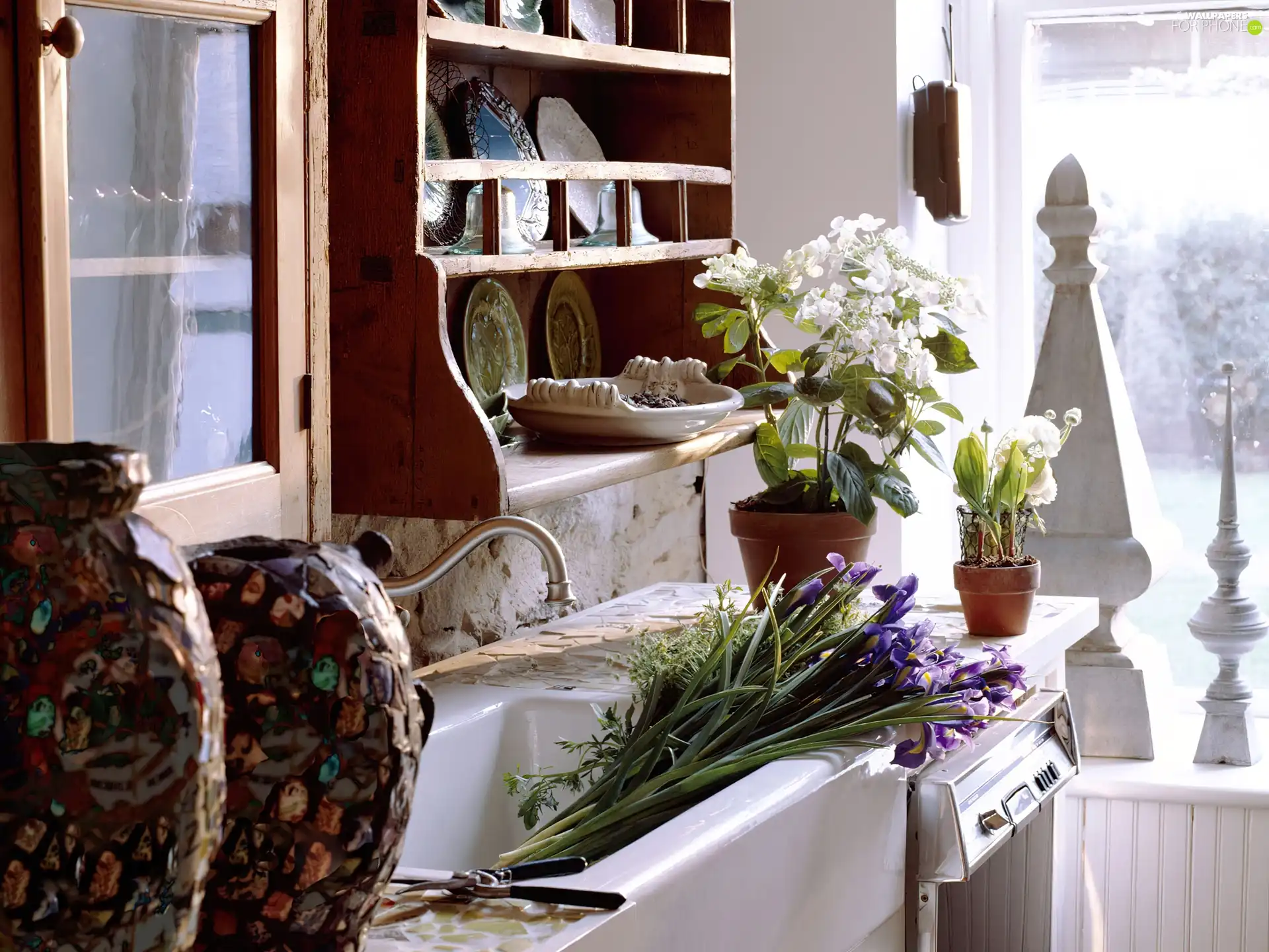 interior, Flowers, Irises, tap