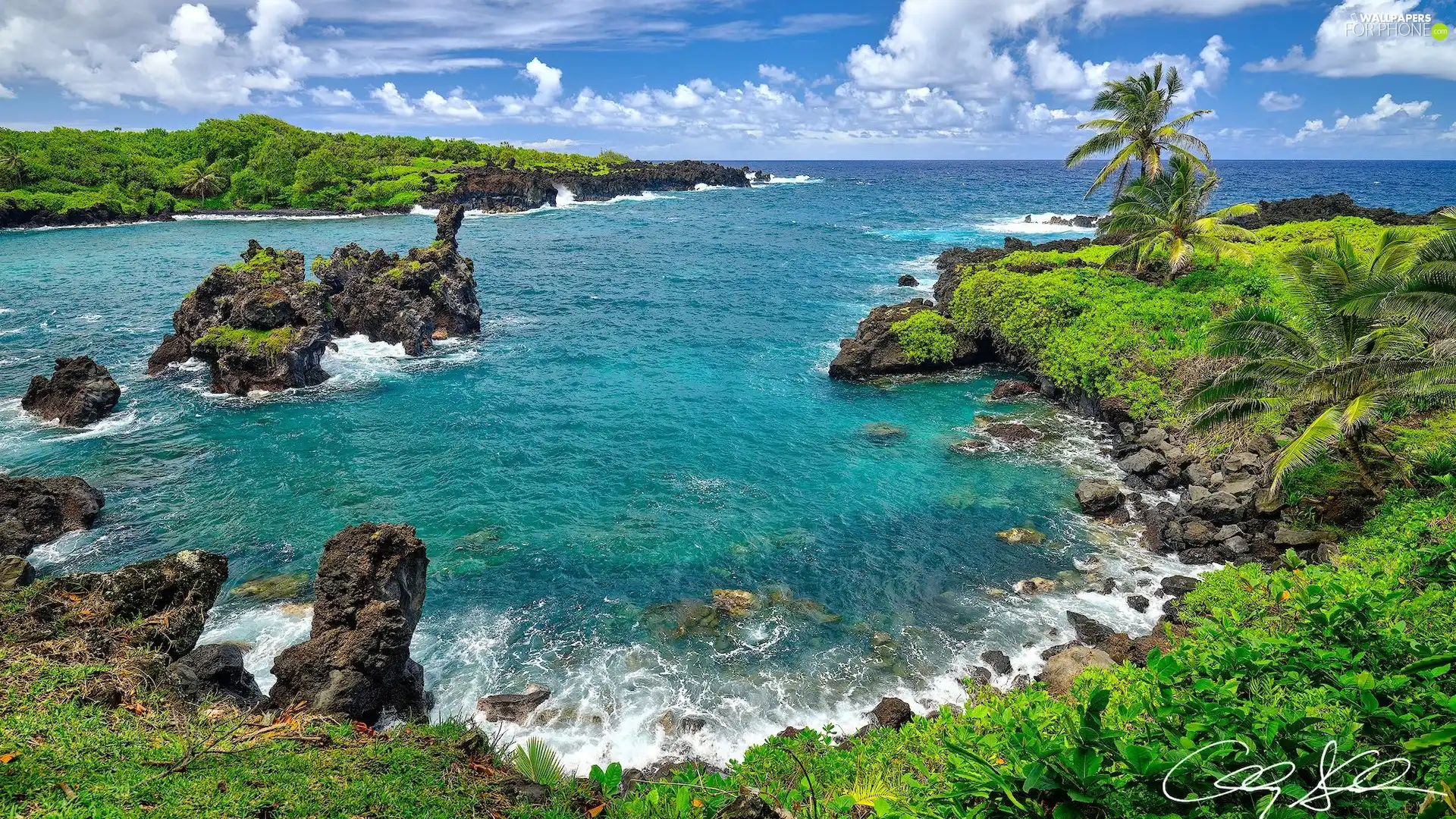 Waianapanapa State Park, Aloha State Hawaje, rocks, Maui Island, The United States, sea, Palms