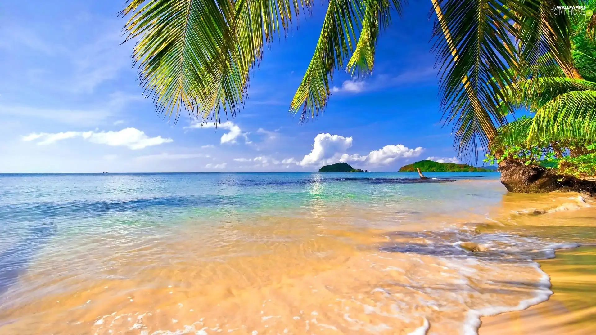 Islands, Tropical, sea, Palms, Beaches