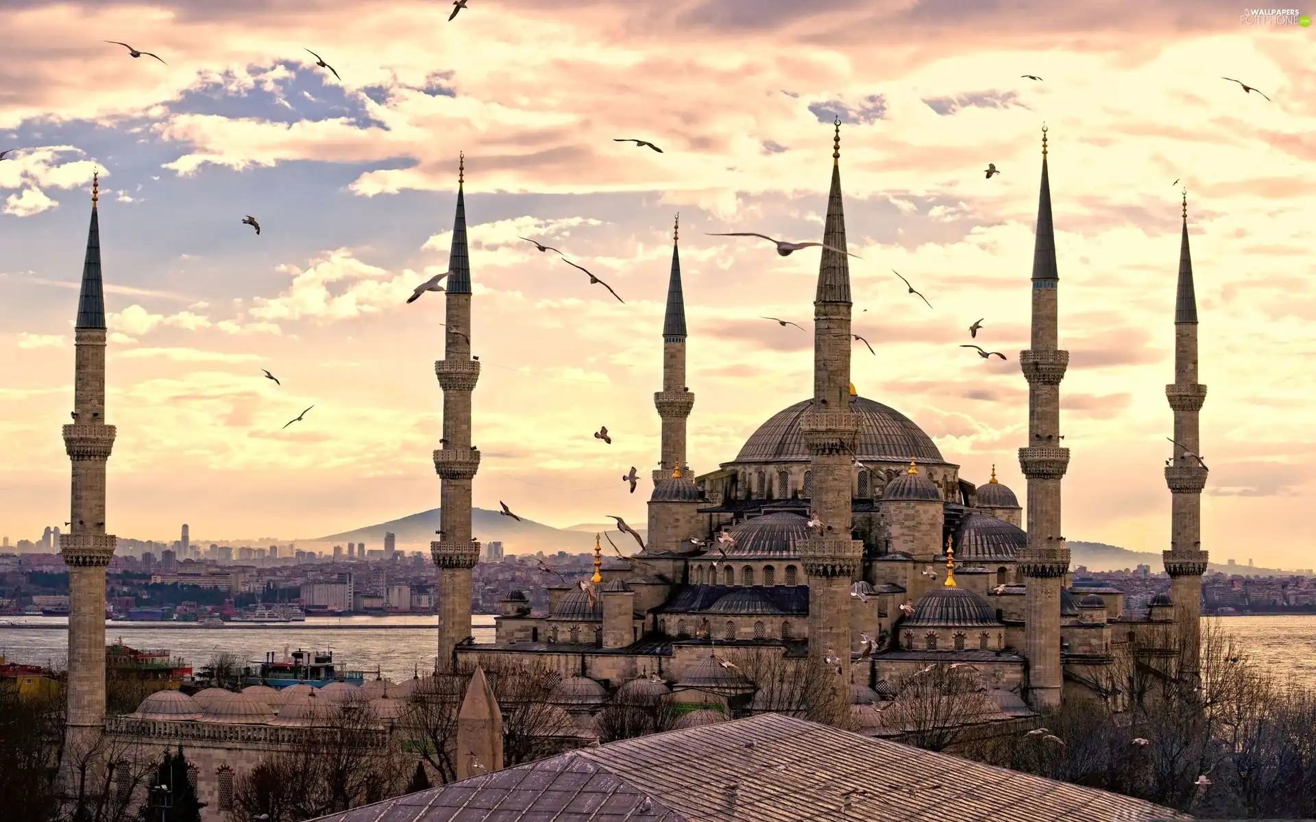Istanbul, blue, mosque