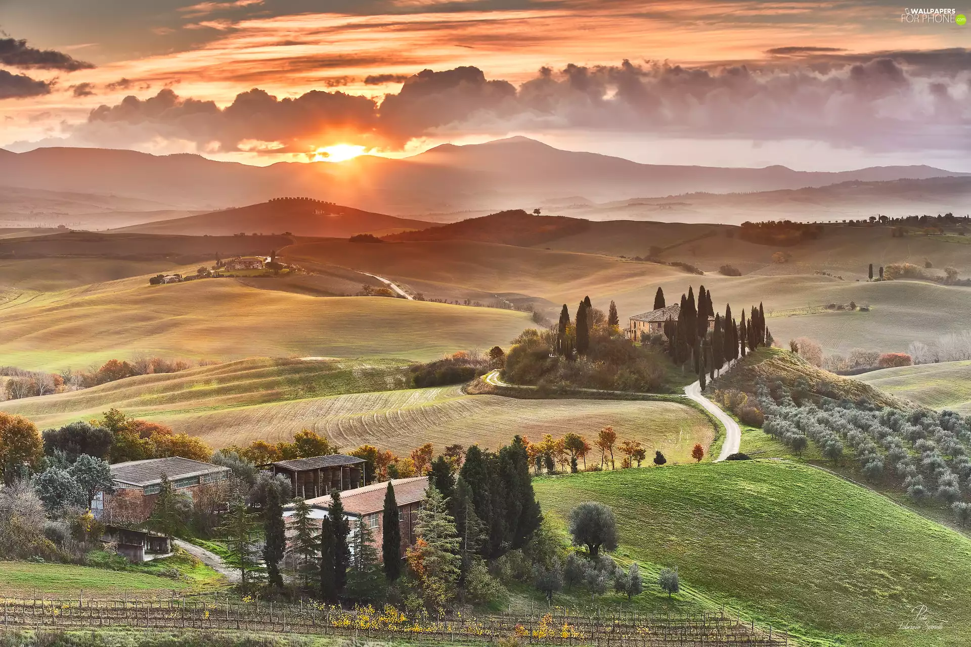cypresses, The Hills, Tuscany, Way, Sunrise, Houses, Italy