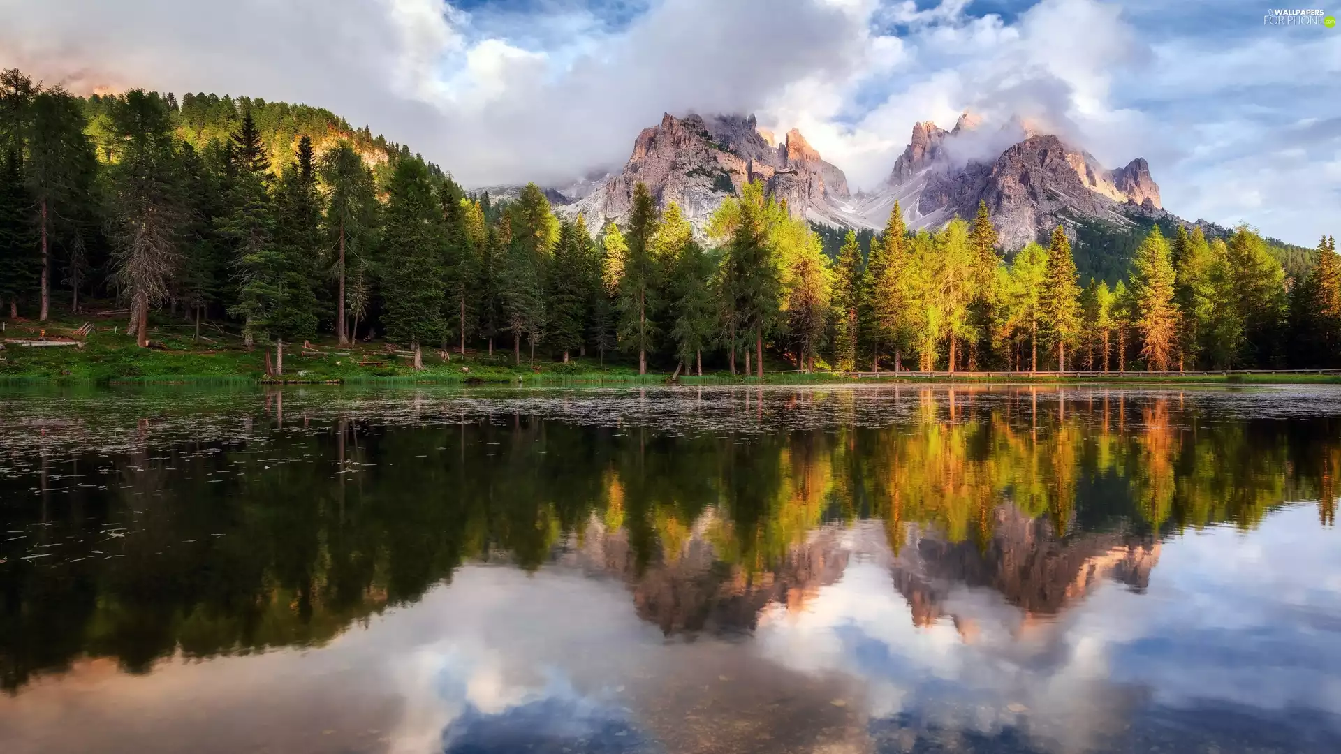forest, Dolomites Mountains, trees, viewes, clouds, reflection, Cadore Region, Italy, Antorno Lake