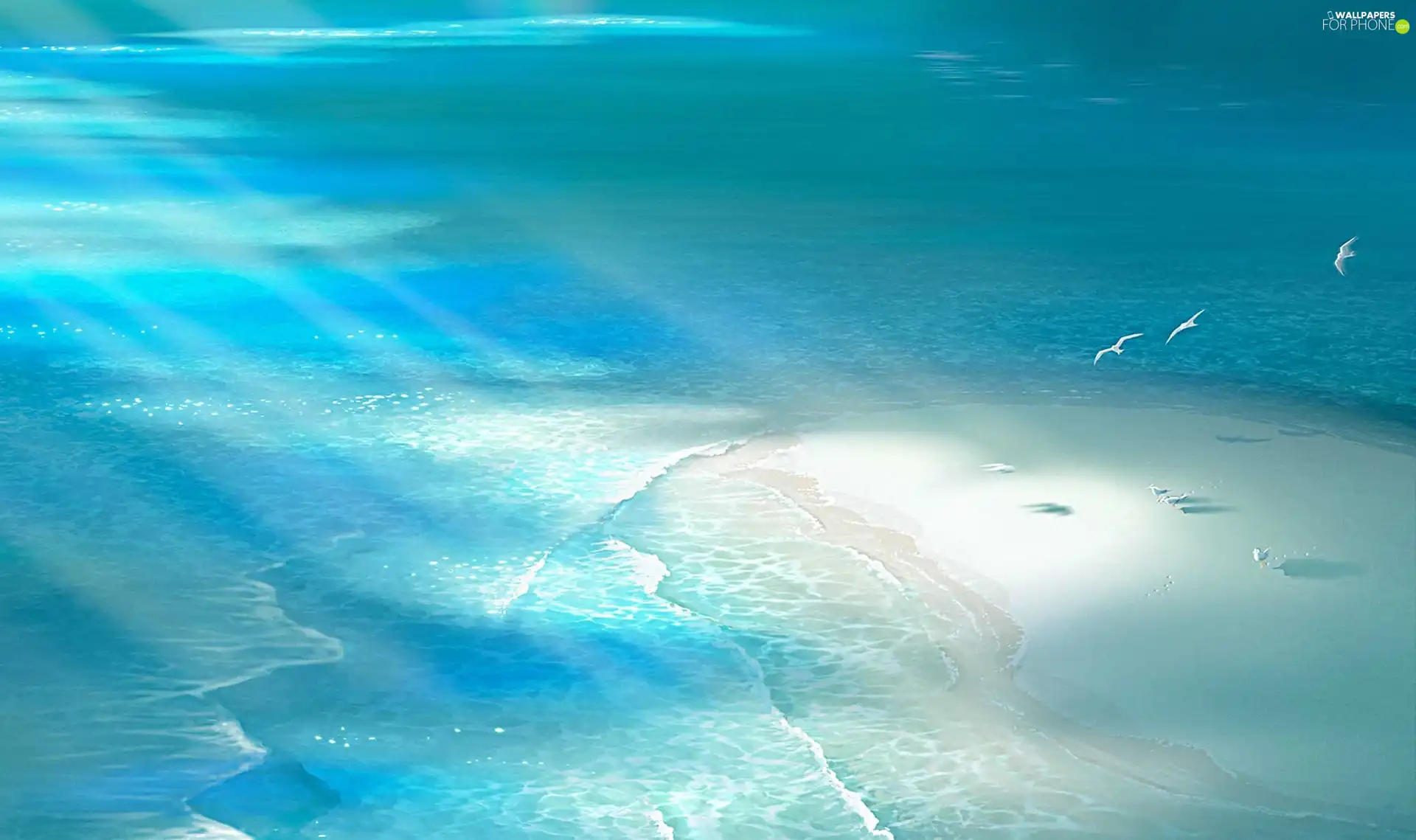 water, gulls, Kagaya, Beaches