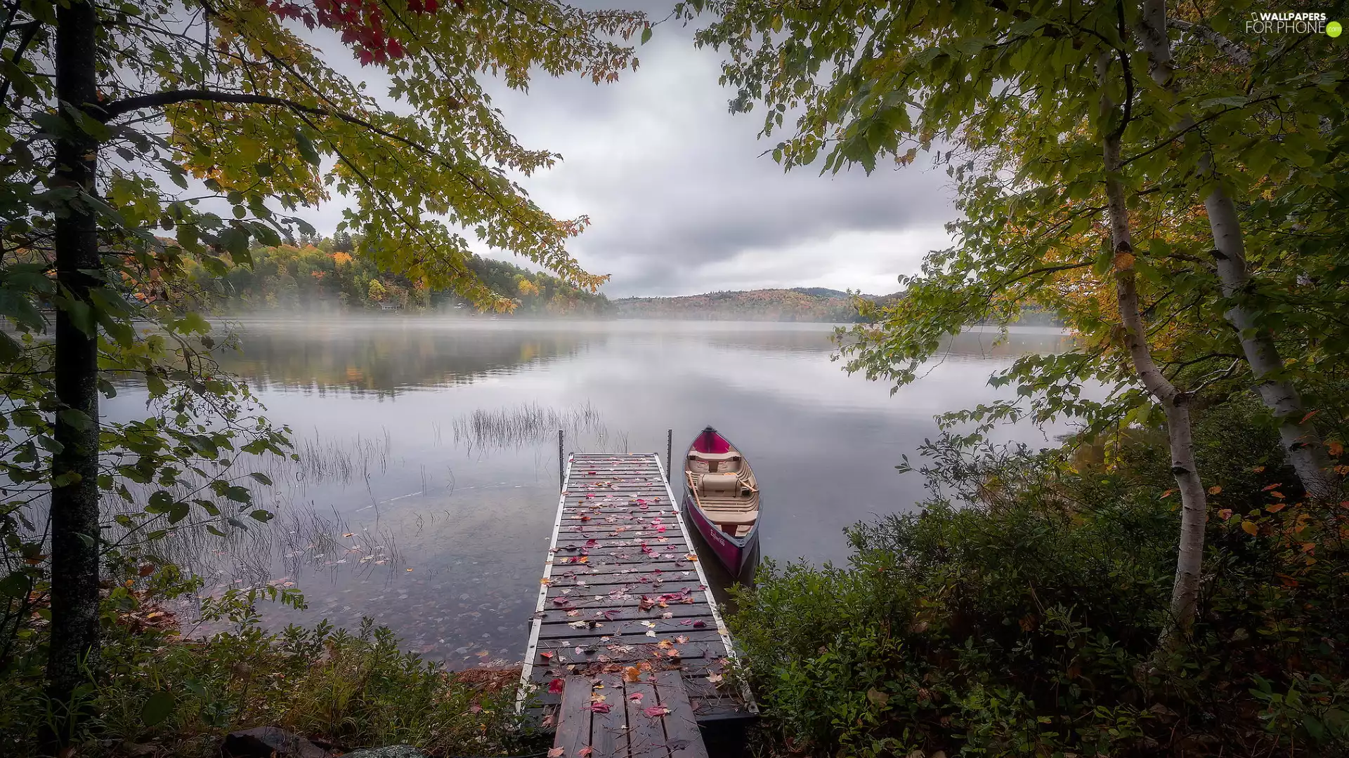 trees, The Hills, Platform, Fog, lake, viewes, Kayak