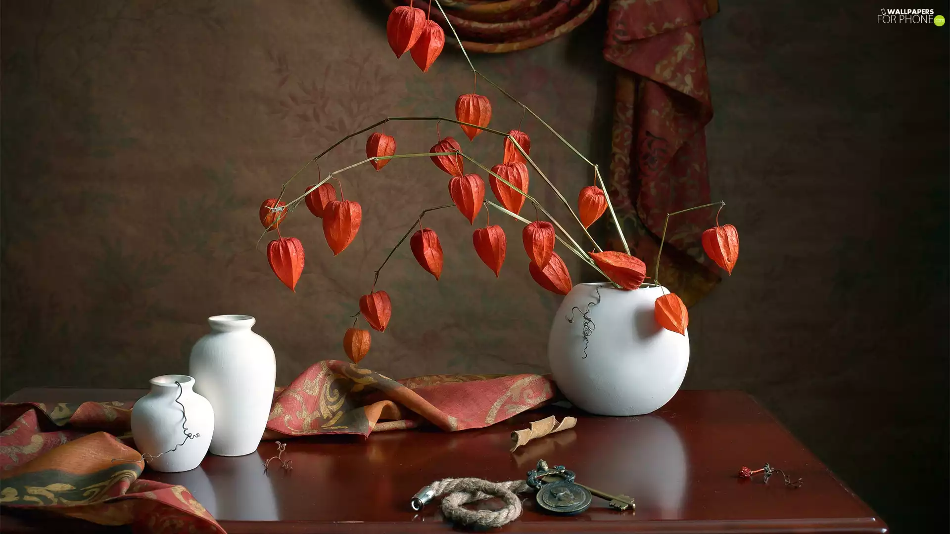 physalis, Key, White, vases, composition