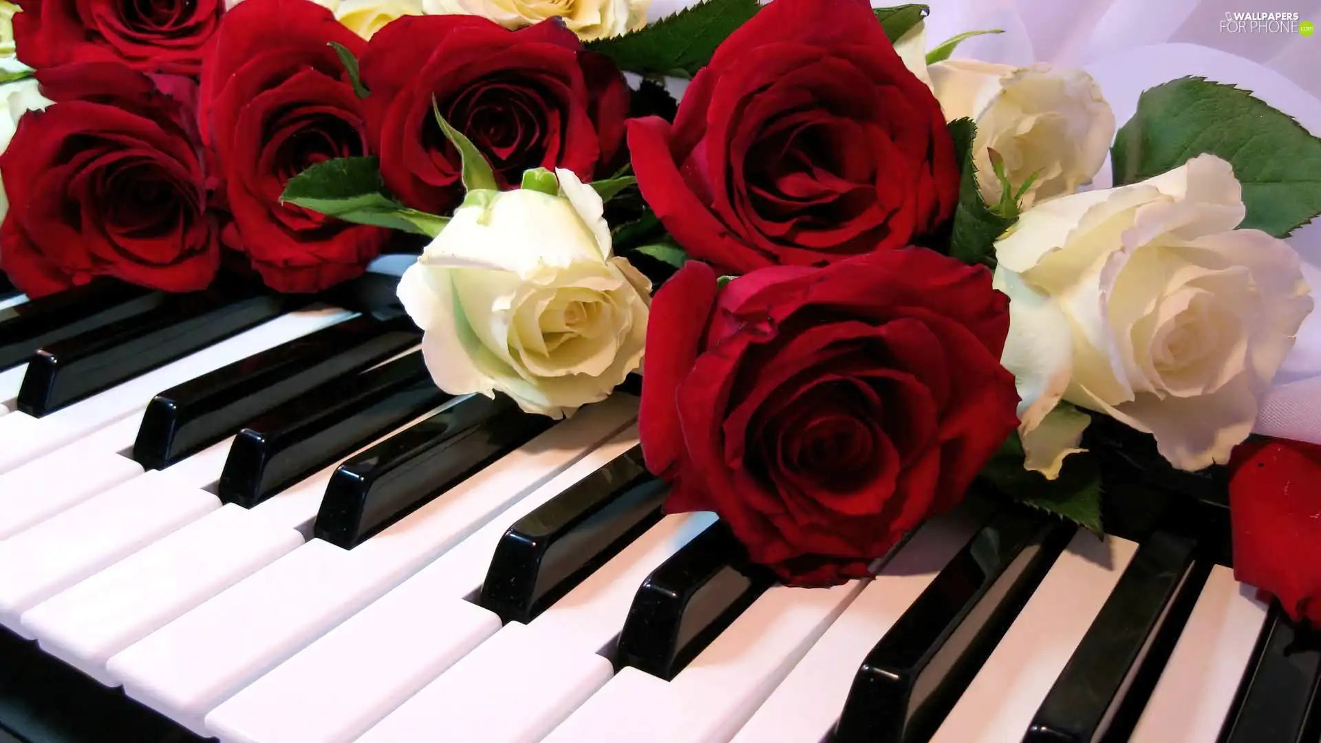 roses, keyboard
