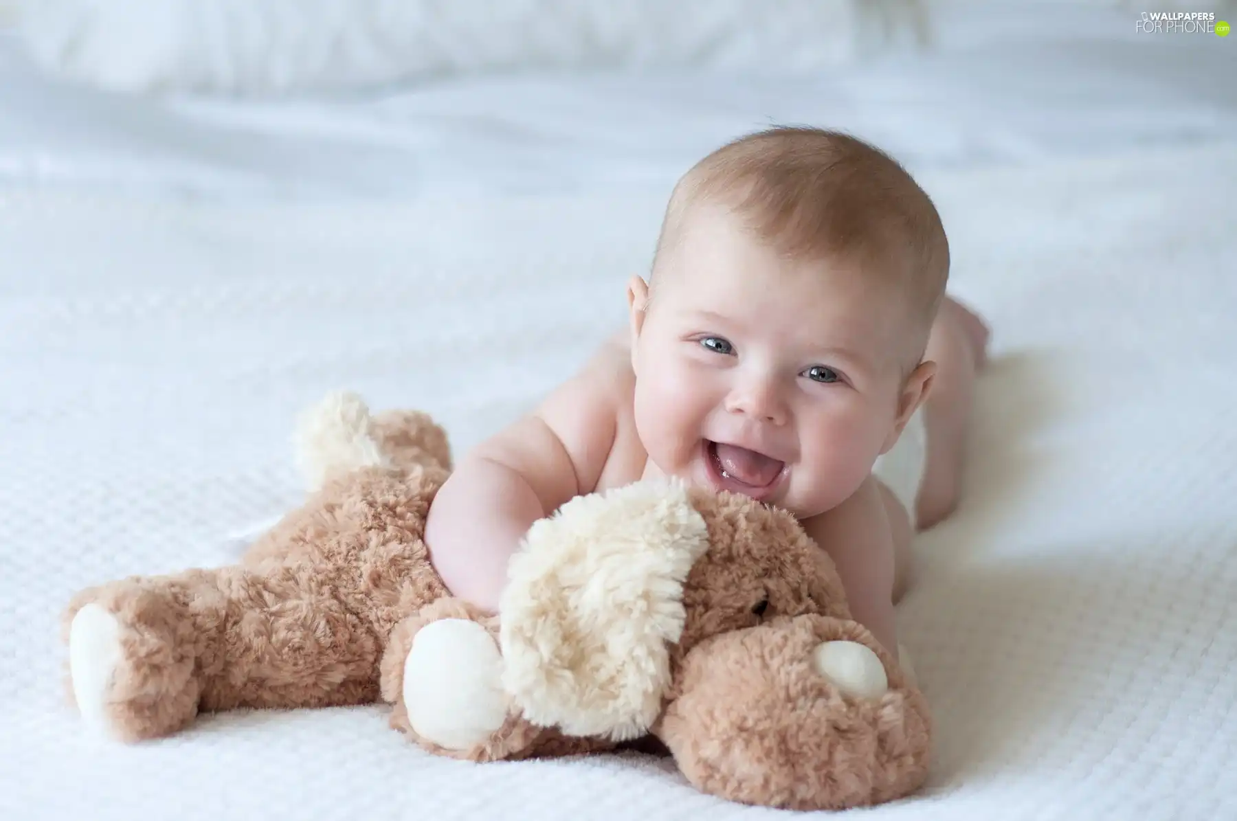 Plush, teddy bear, laughing, Kid, little doggies