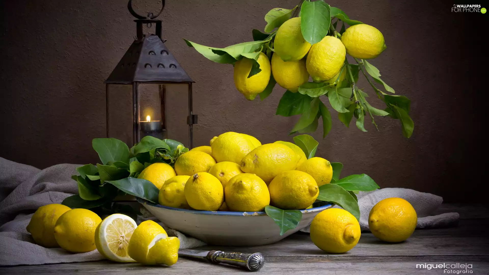 bowl, knife, lemons, lantern, composition