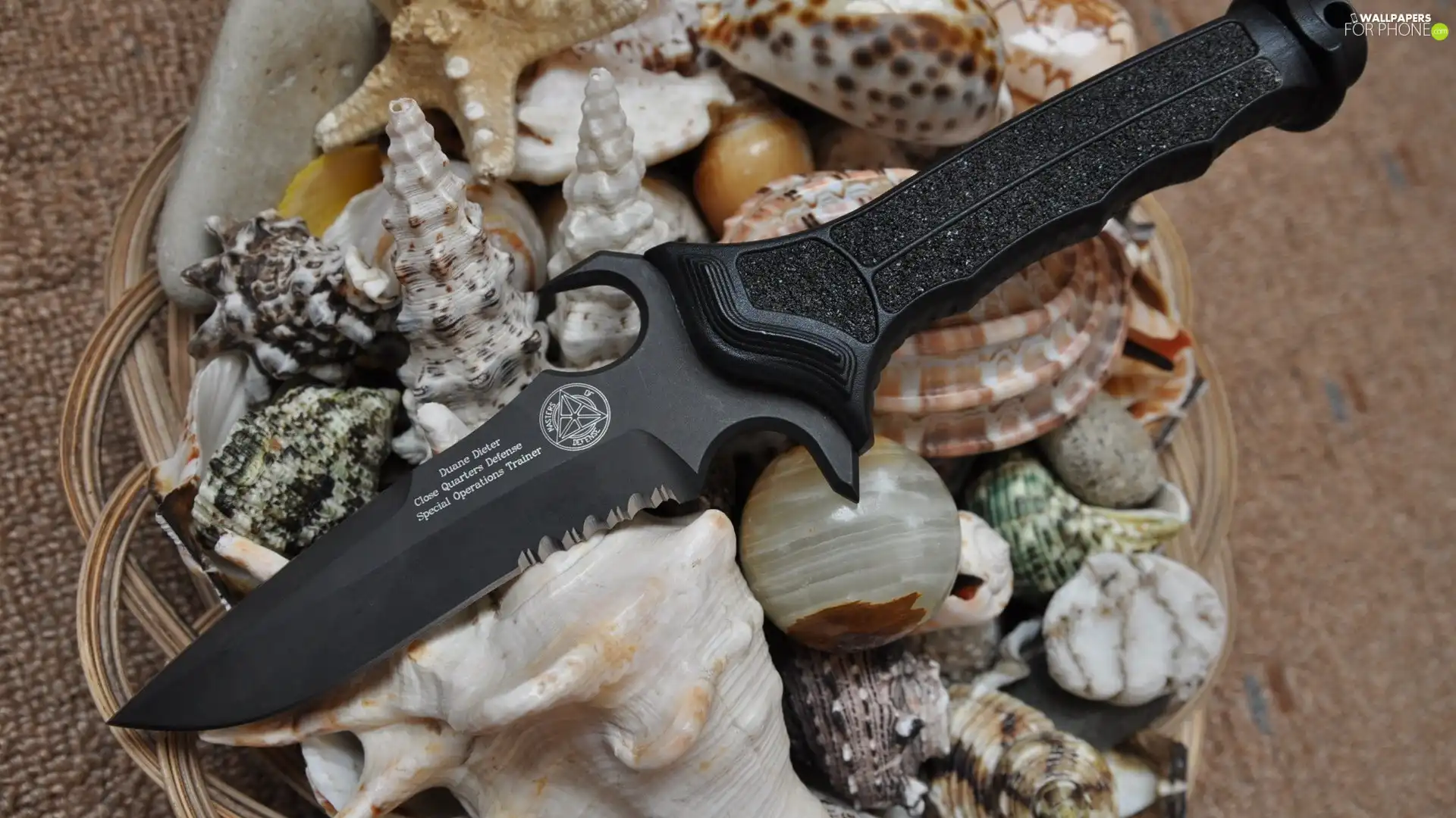 Shells, knife