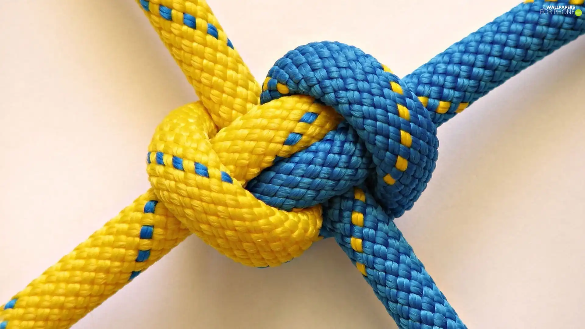 string, knot