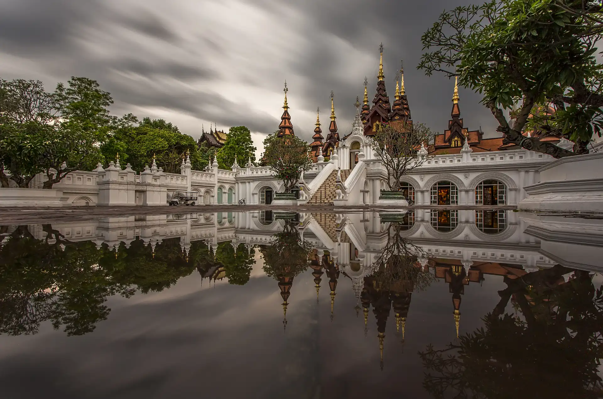Nick Kyrgios, Thailand, Pond - car, reflection, palace ...