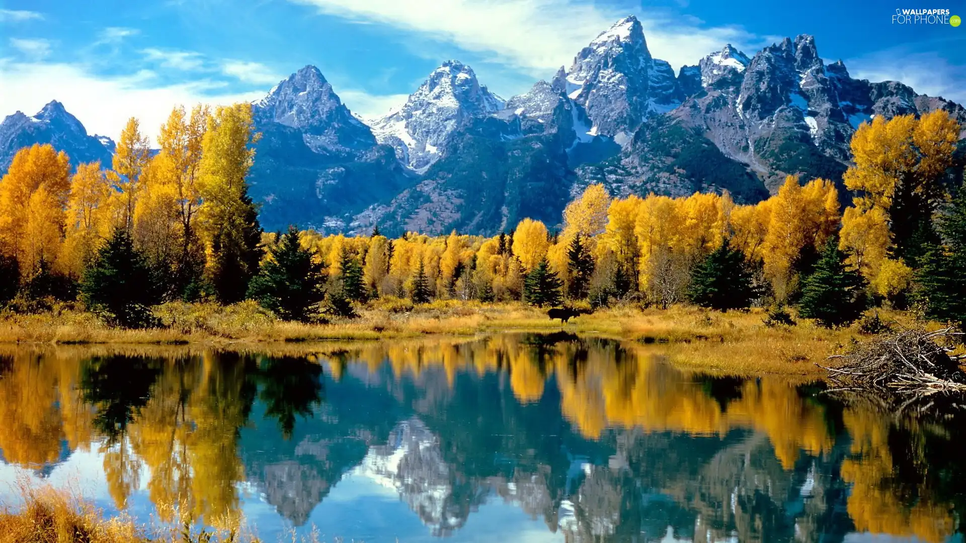 lake, autumn, trees, viewes, rocks