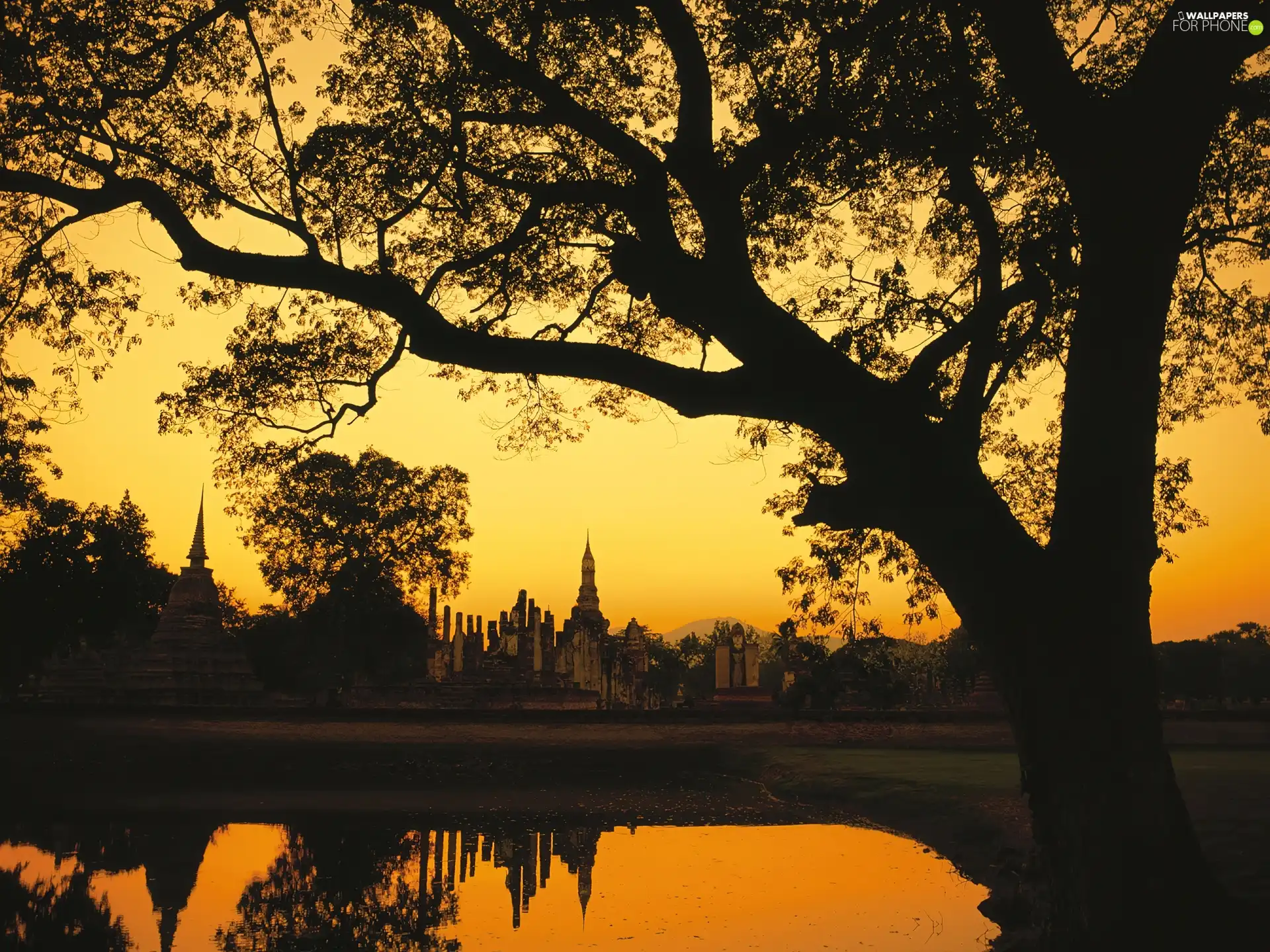 Cambodia, trees, lake, structures