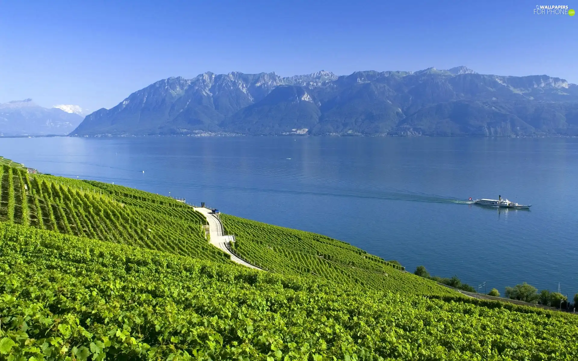 field, Mountains, lake, Farms