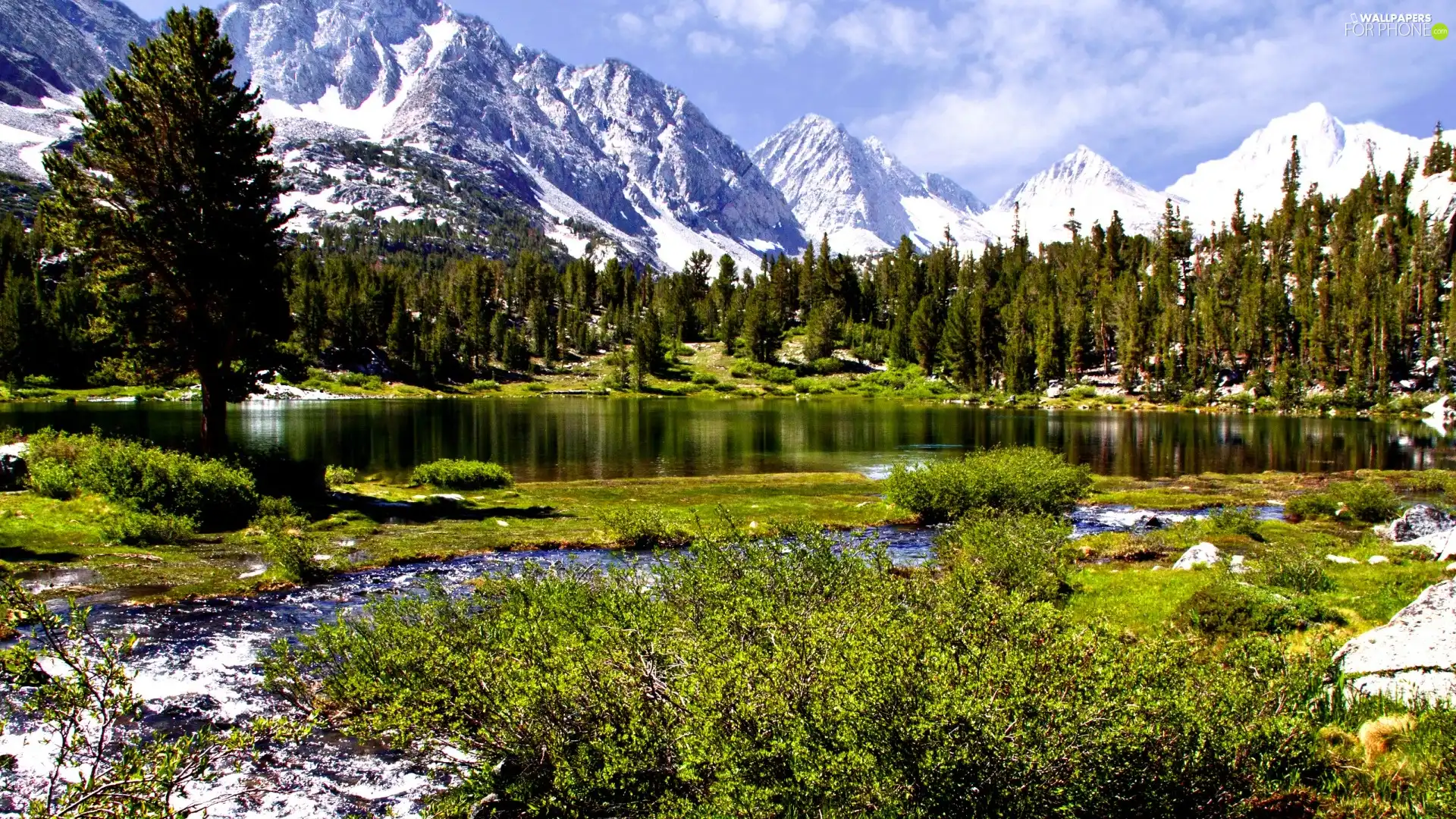 lake, Mountains, forest