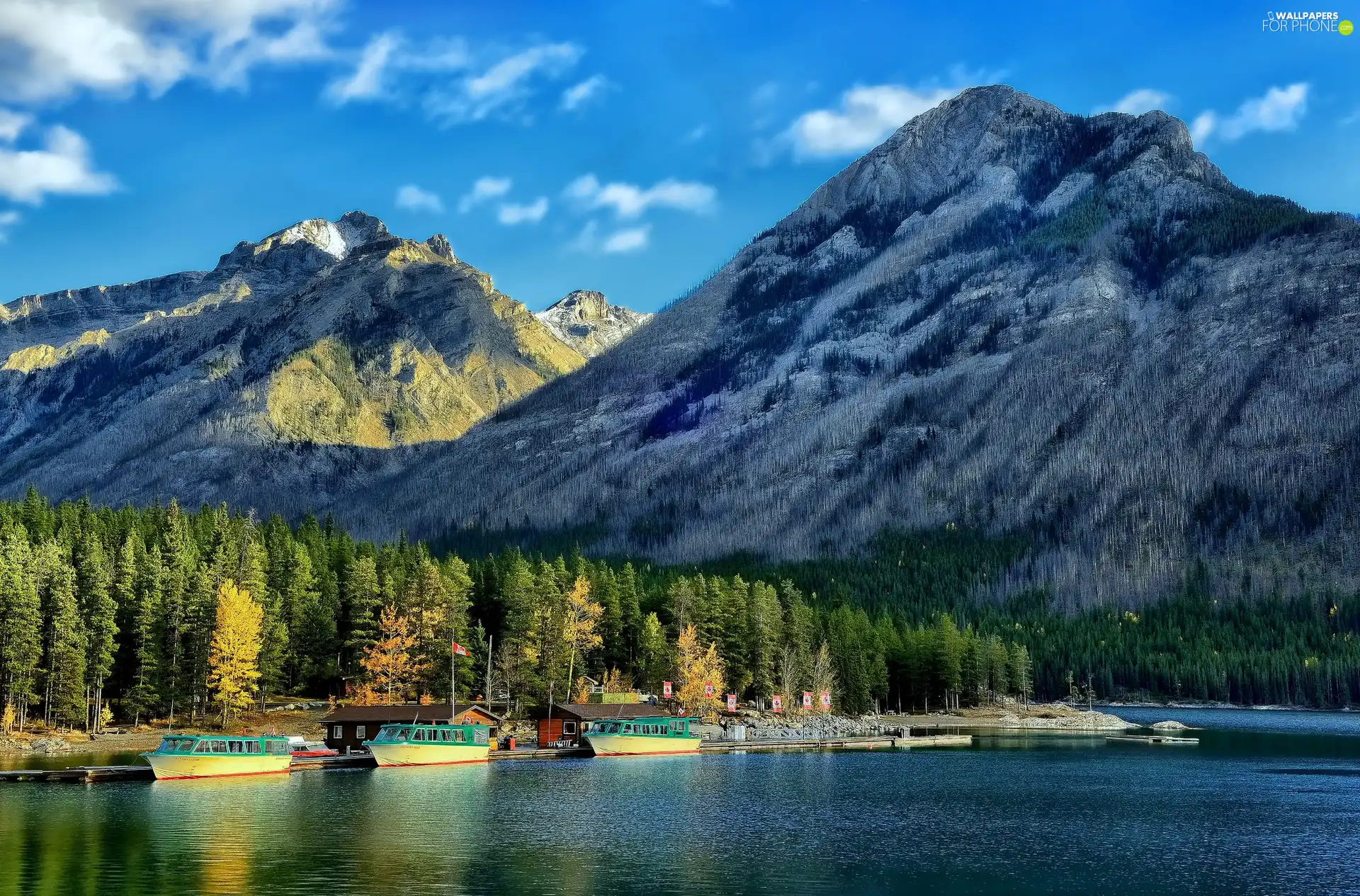 Mountains, Harbour, lake, forest