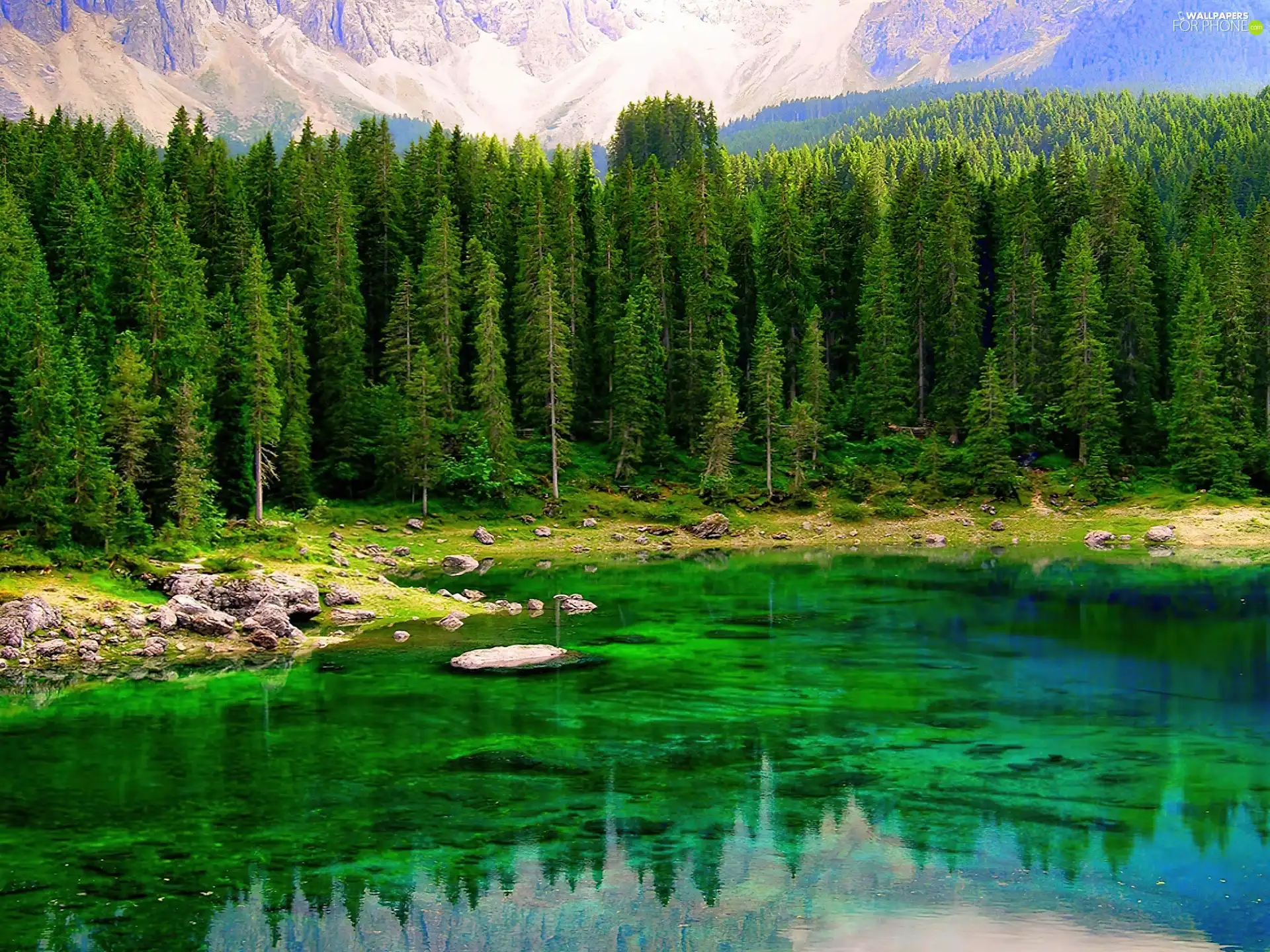 lake, Mountains, trees, viewes, high