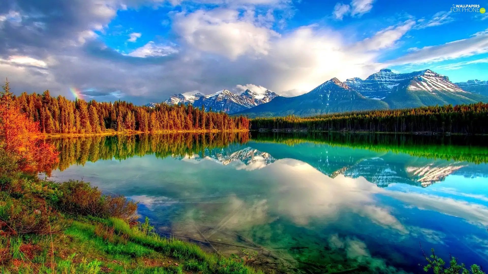 Mountains, woods, lake, clouds