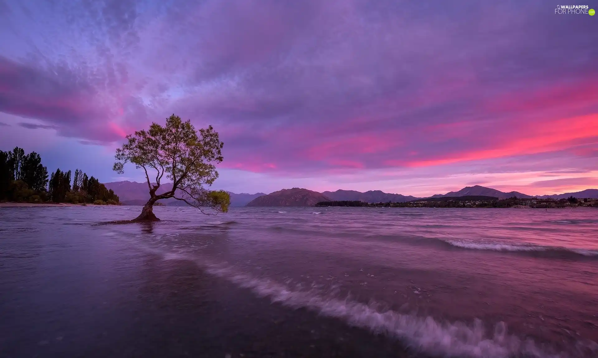 inclined, New Zeland, Great Sunsets, The Hills, trees, Wanaka Lake