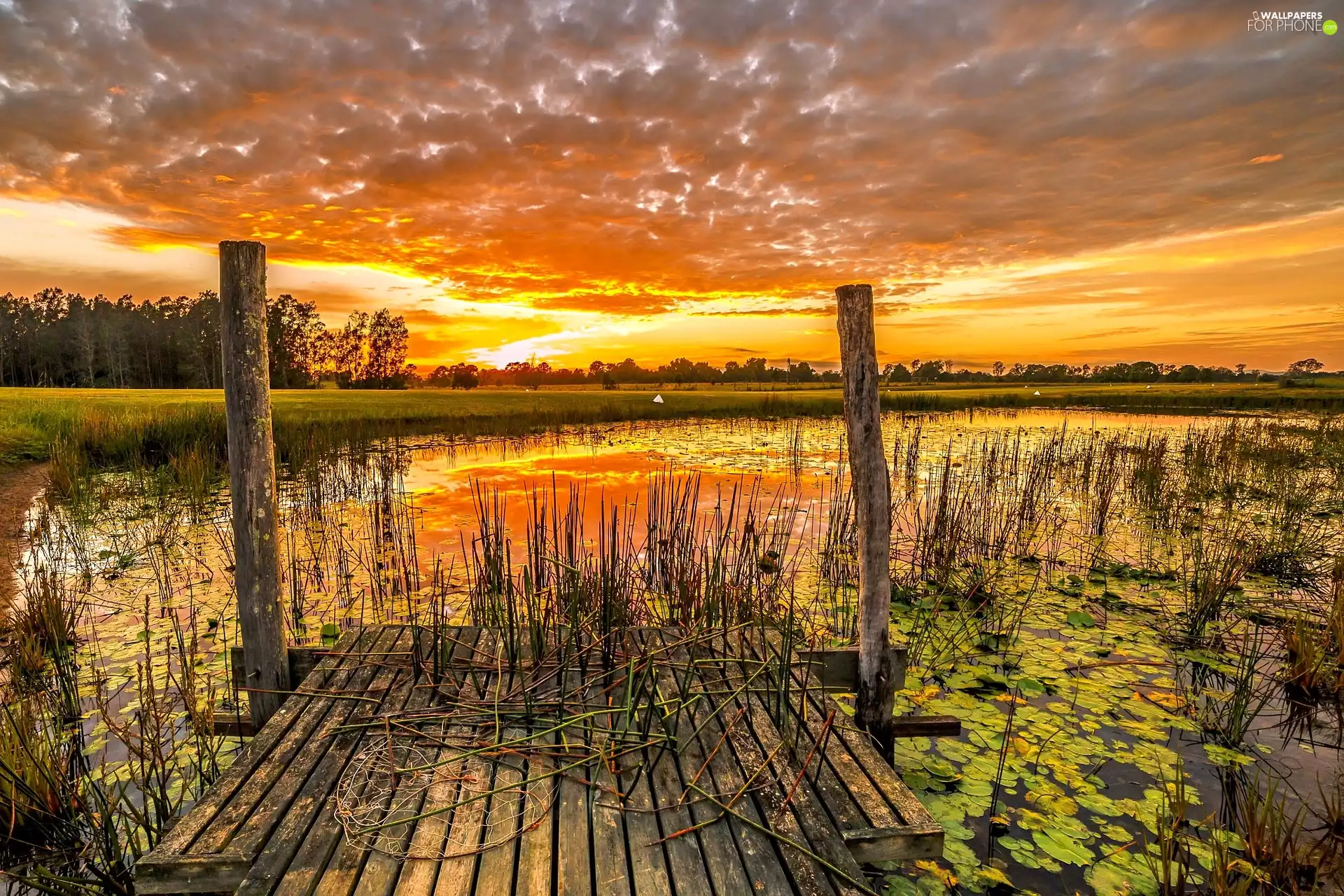 pier, Great Sunsets, lake
