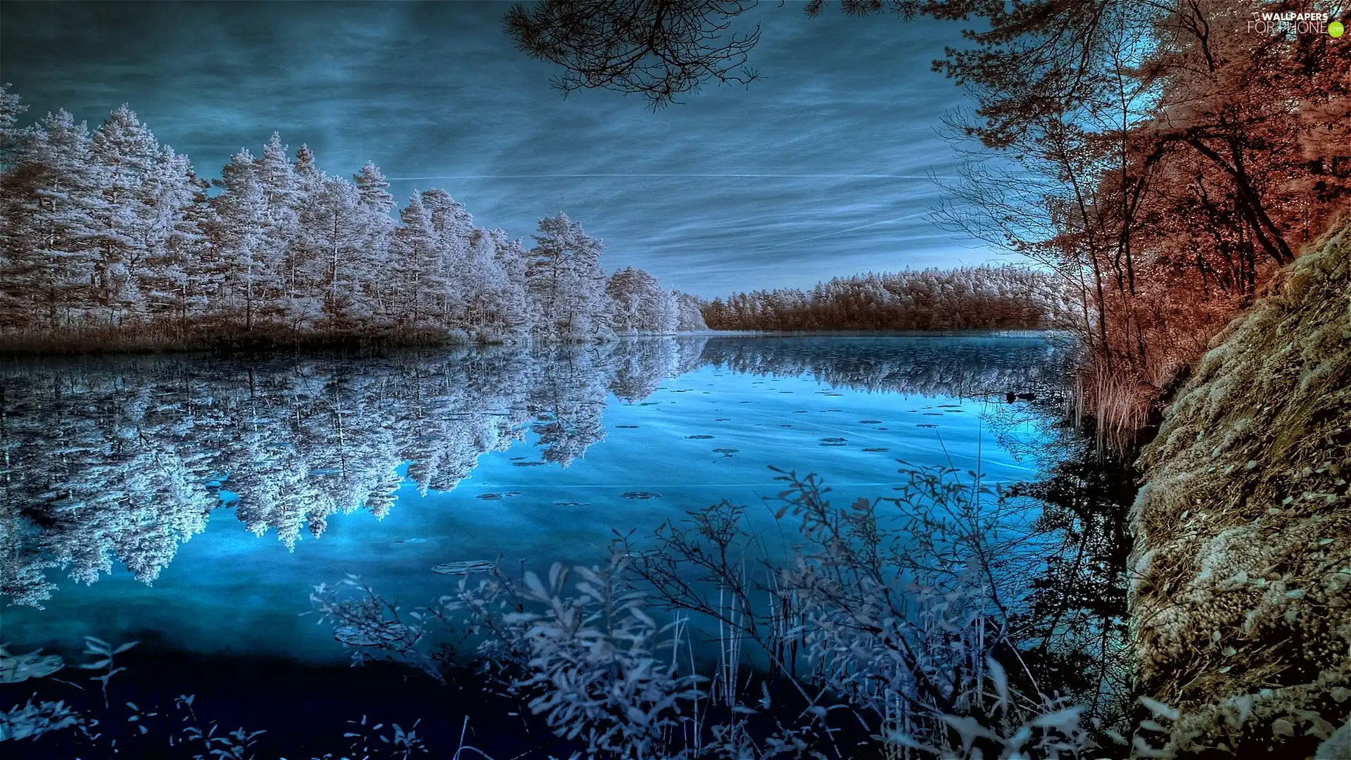 lake, reflection, trees, viewes, clouds