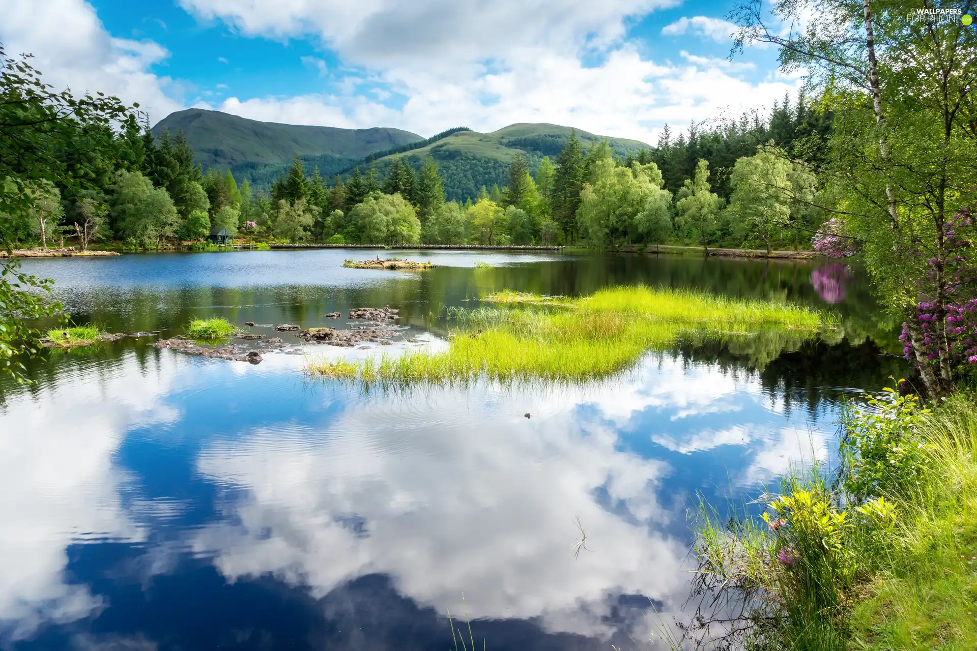 forest, England, Sky, Mountains, Scotland, lake, reflection
